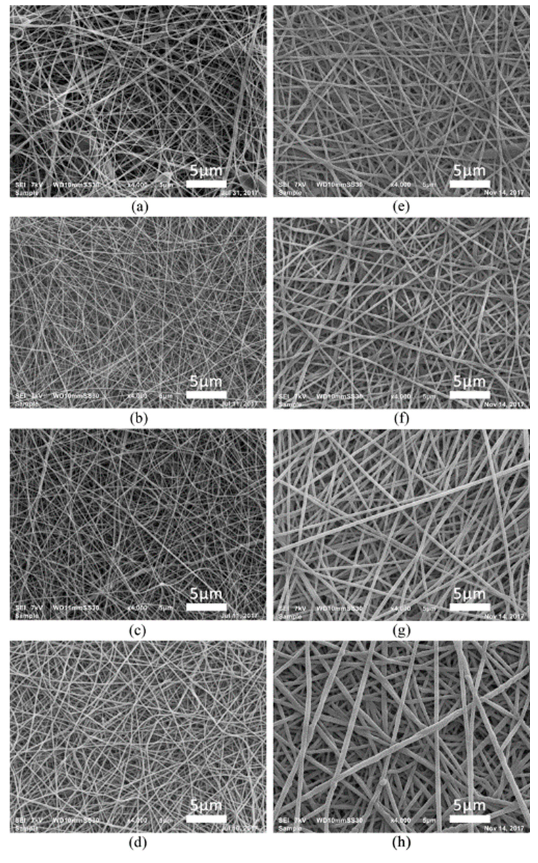 Nanomaterials 09 01215 g001 Nanomaterials 09 01215 g001