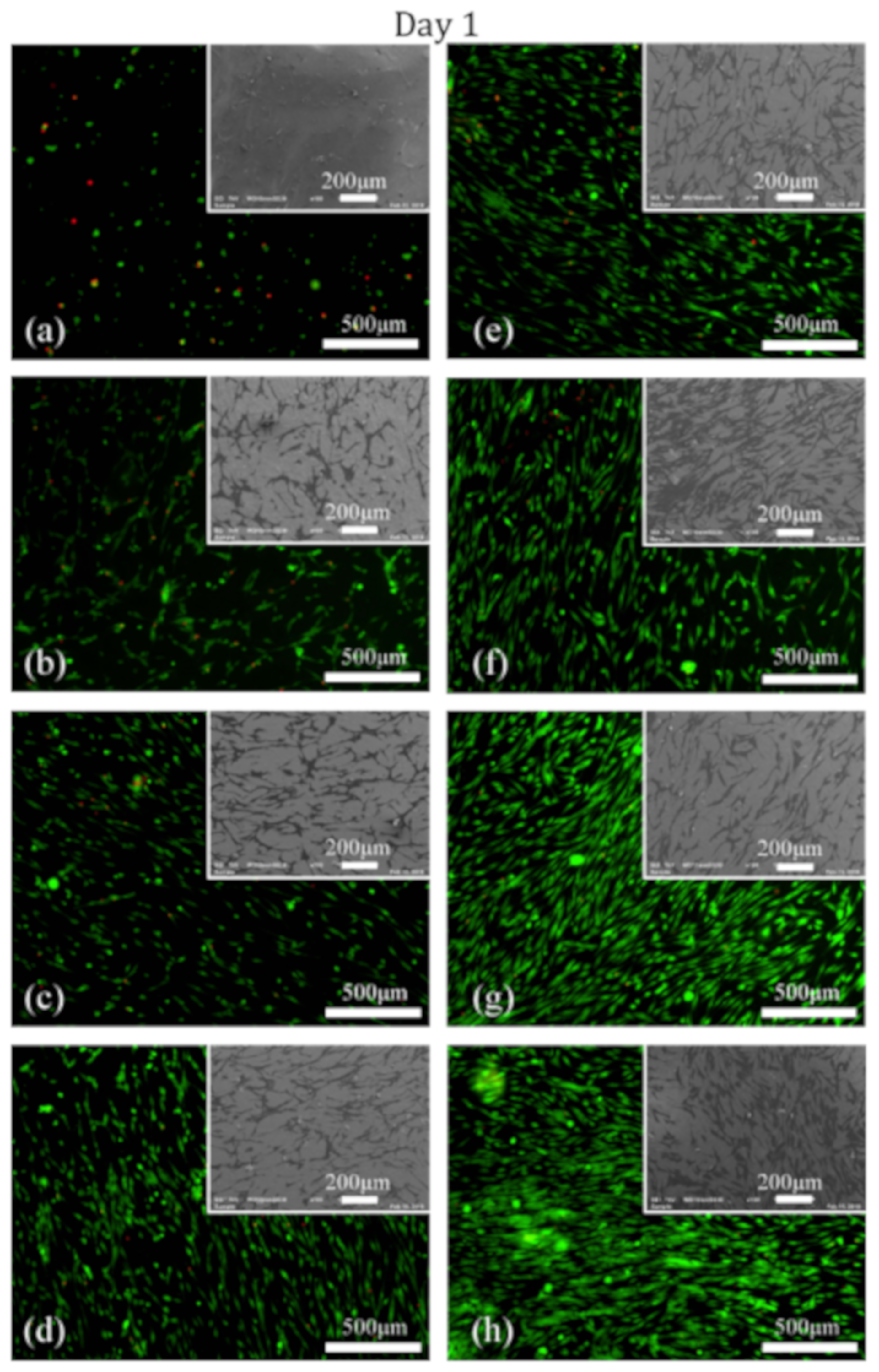 Nanomaterials 09 01215 g007 Nanomaterials 09 01215 g007