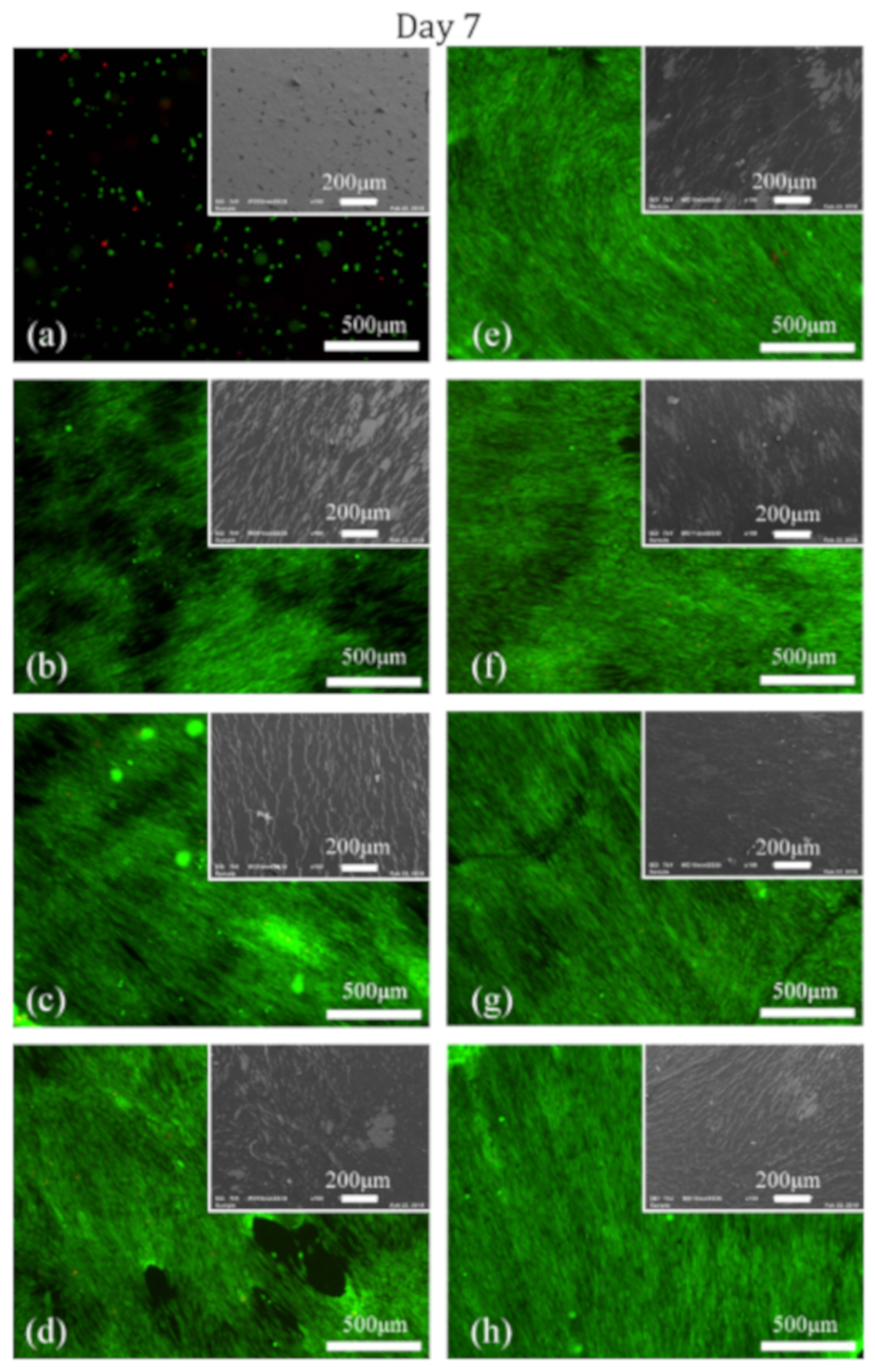 Nanomaterials 09 01215 g008 Nanomaterials 09 01215 g008
