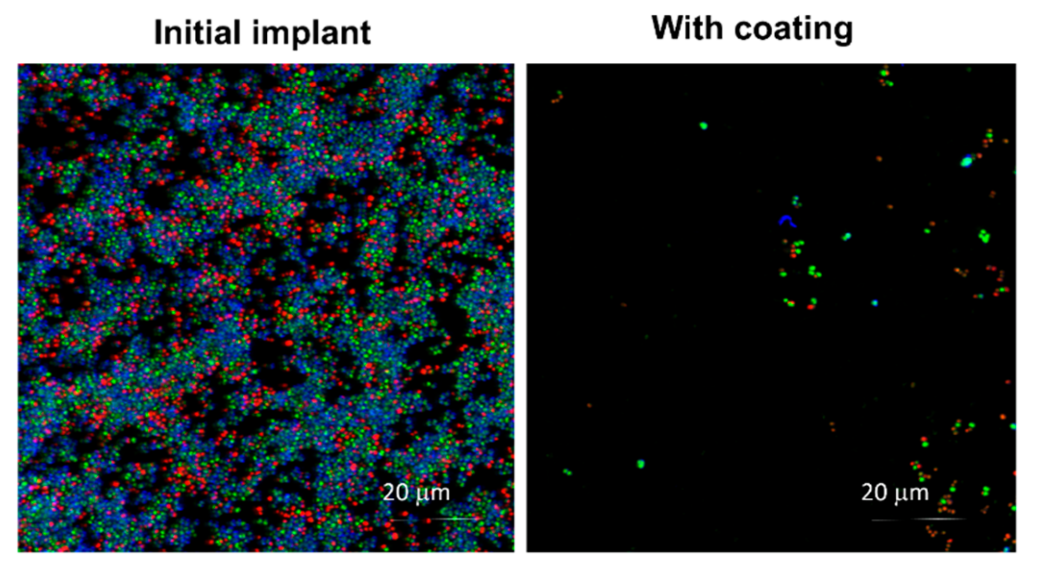 Nanomaterials 09 01217 g008