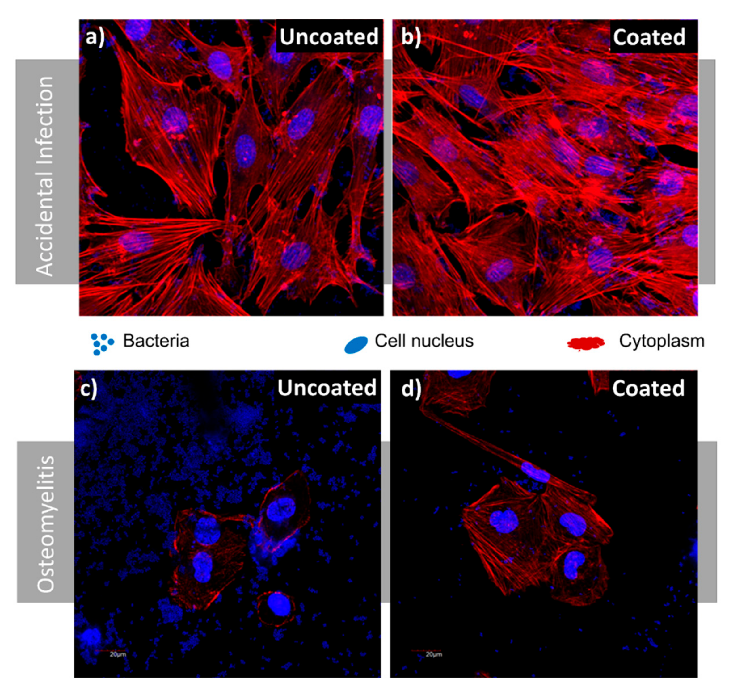 Nanomaterials 09 01217 g009