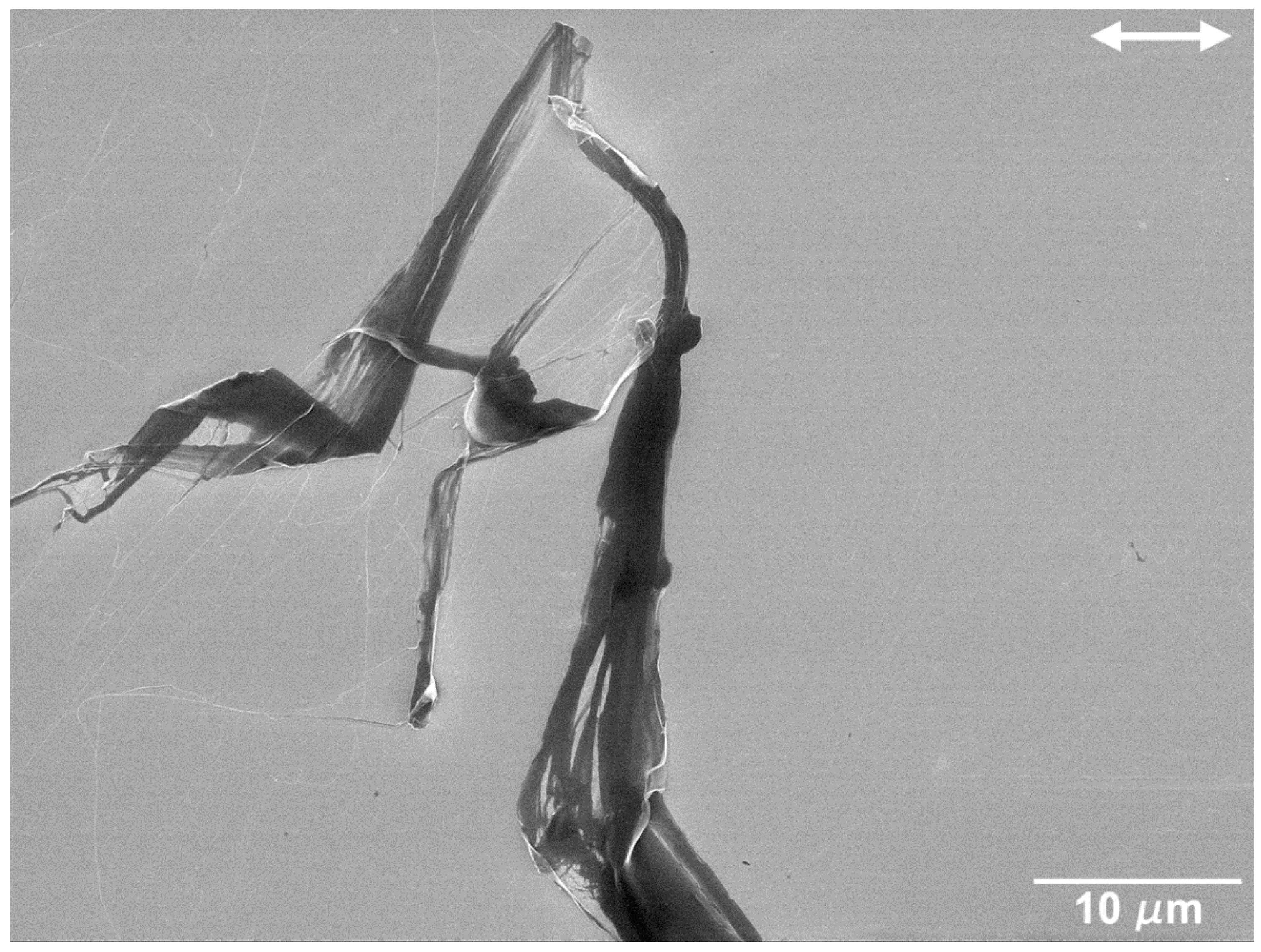 Nanomaterials 09 01237 g007 Nanomaterials 09 01237 g007