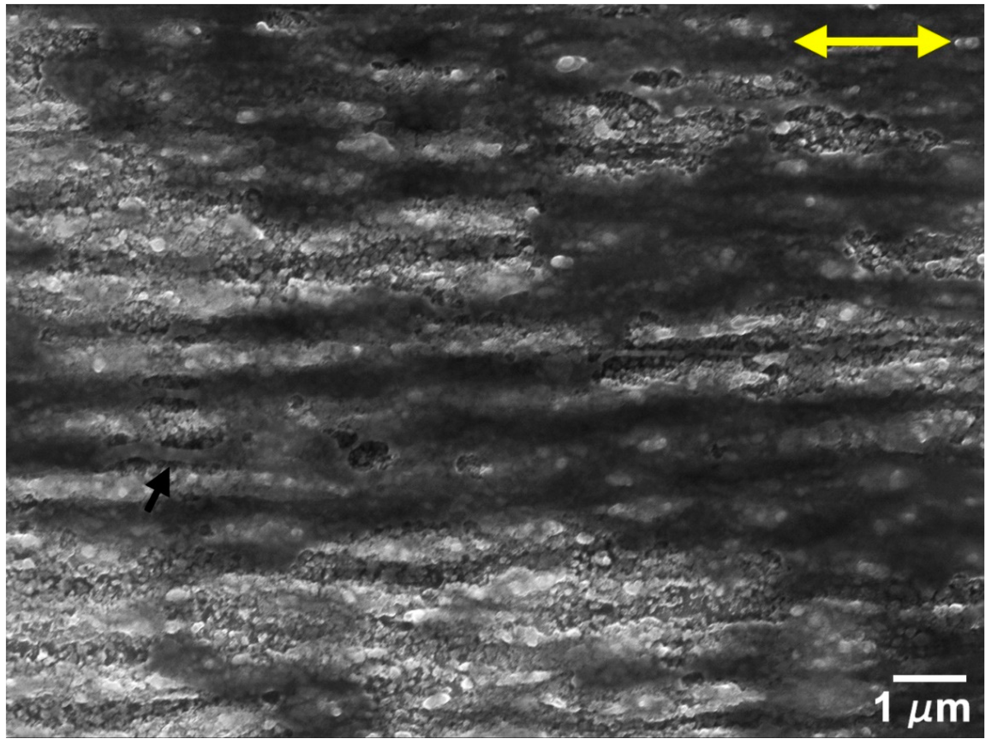 Nanomaterials 09 01237 g011 Nanomaterials 09 01237 g011