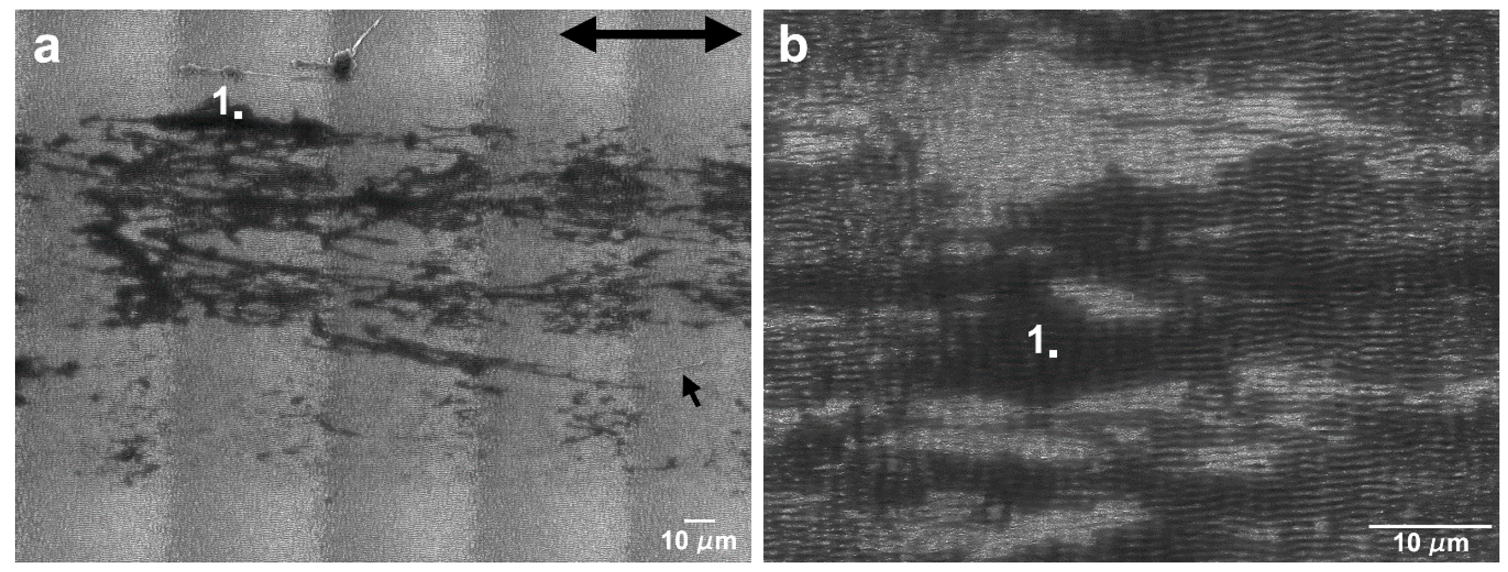 Nanomaterials 09 01237 g012 Nanomaterials 09 01237 g012
