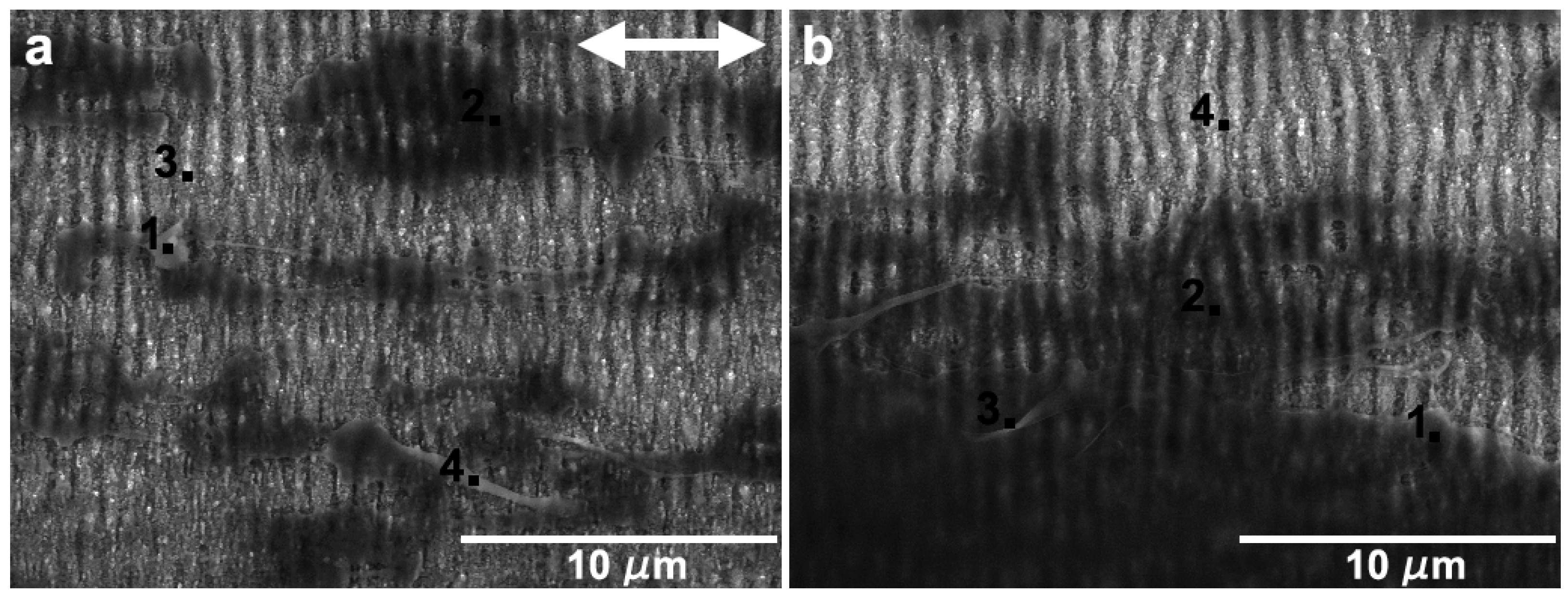 Nanomaterials 09 01237 g016 Nanomaterials 09 01237 g016