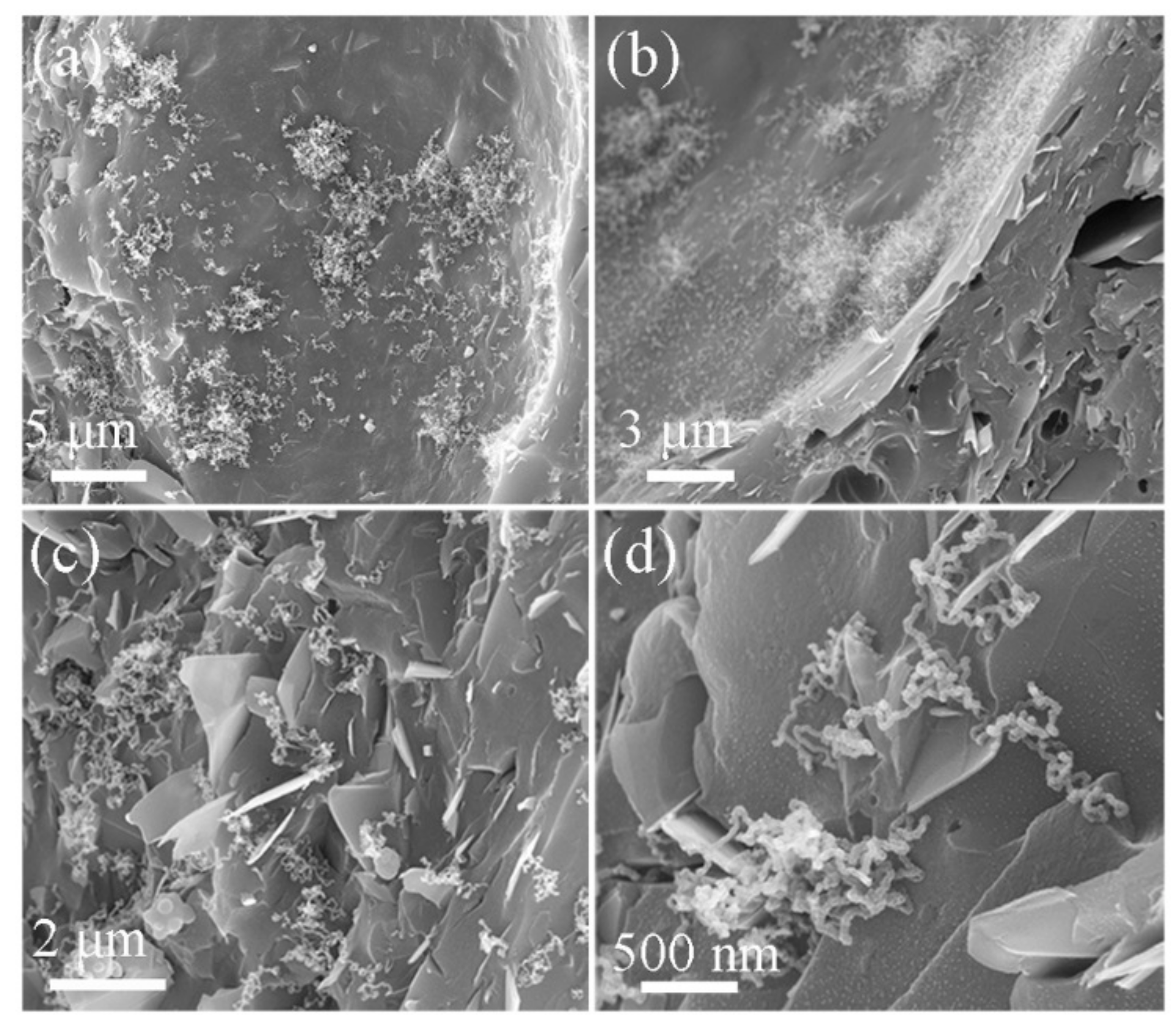 Nanomaterials 09 01242 g009
