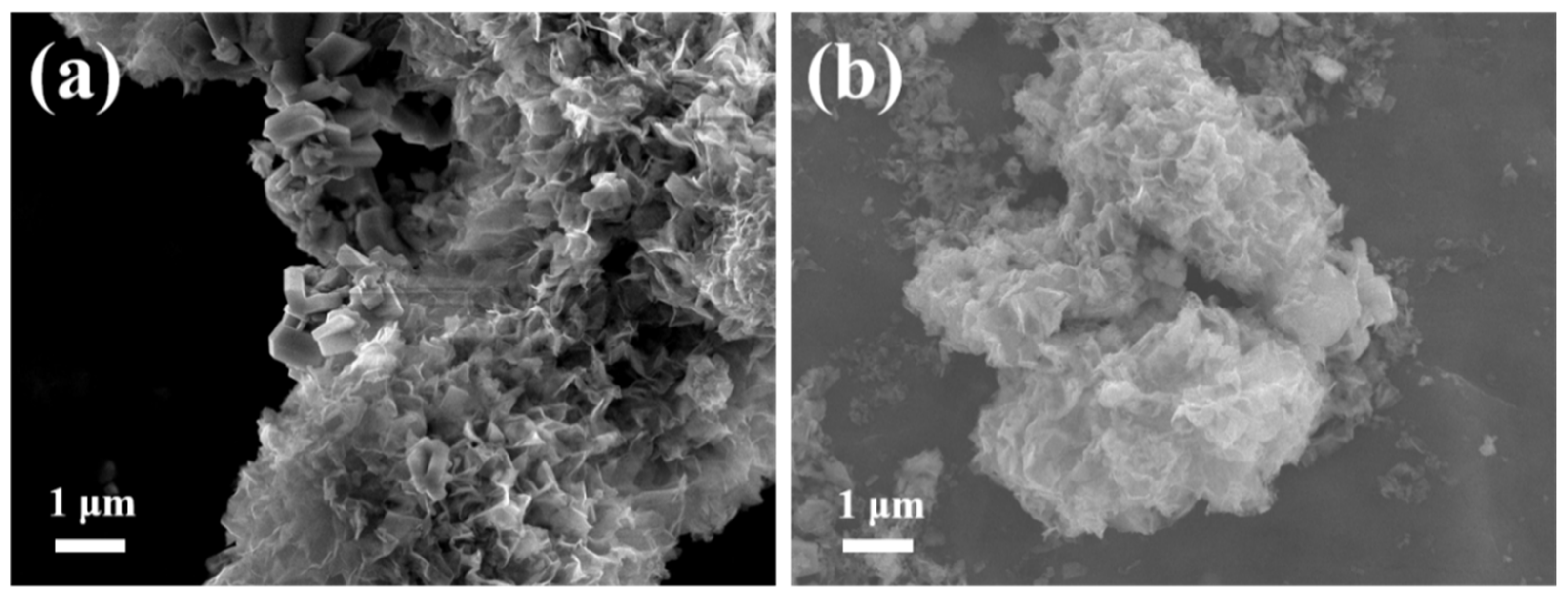 Nanomaterials 09 01244 g0a2