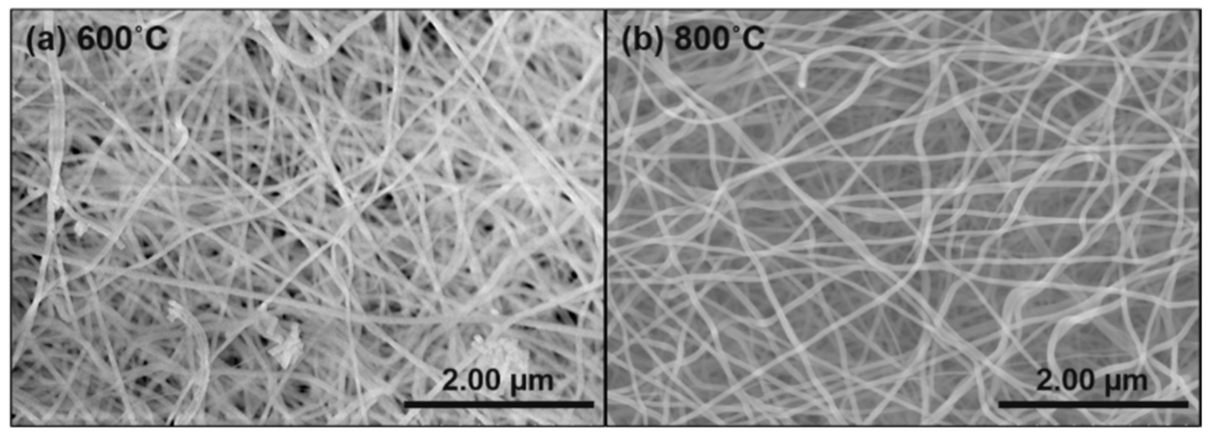 Nanomaterials 09 01252 g007