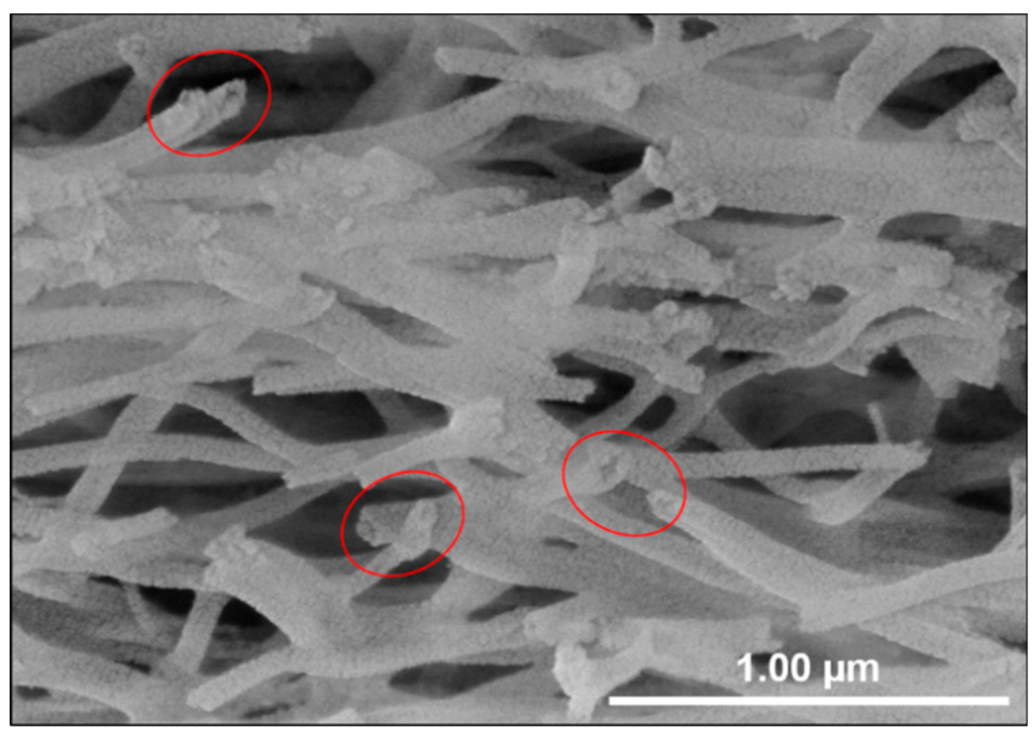 Nanomaterials 09 01252 g009