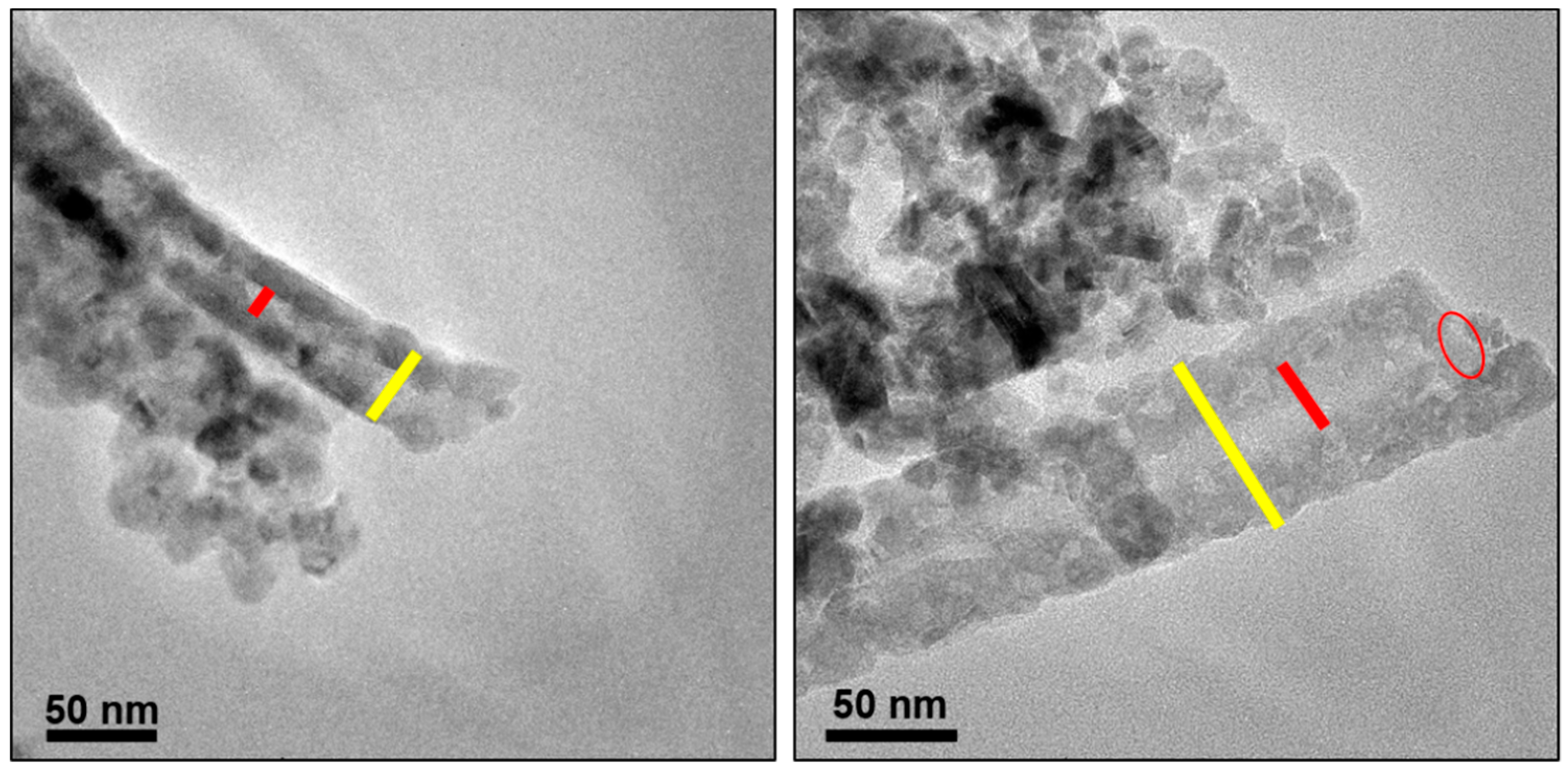 Nanomaterials 09 01252 g010