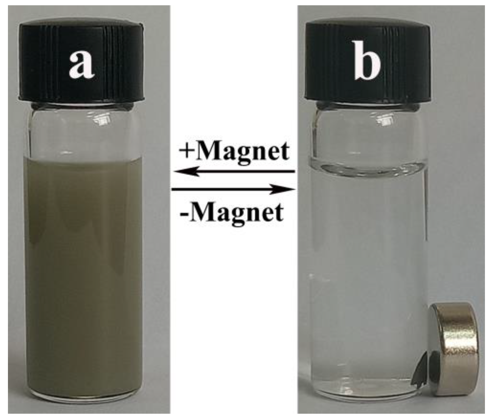 Nanomaterials 09 01255 g007
