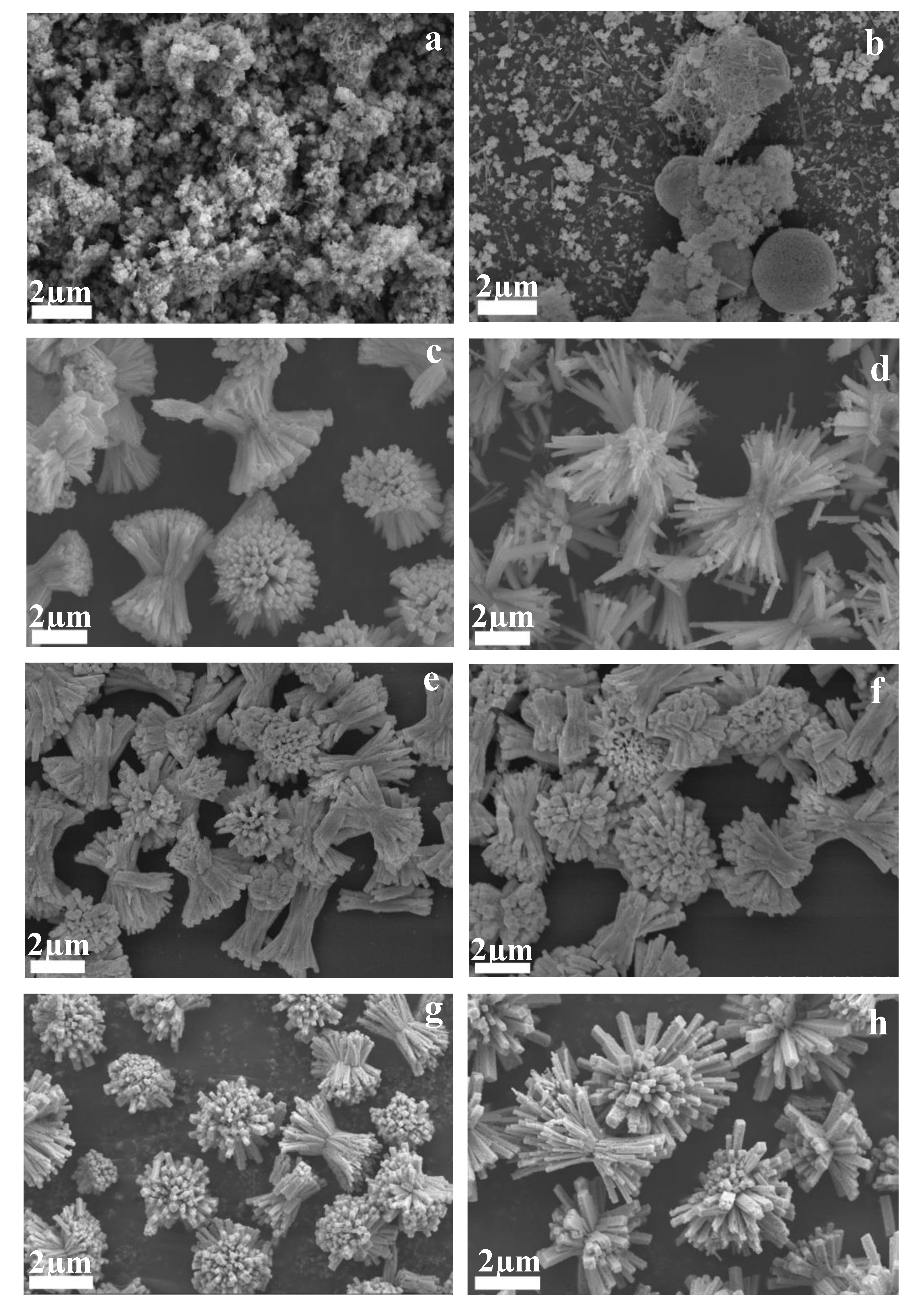 Nanomaterials 09 01257 g003