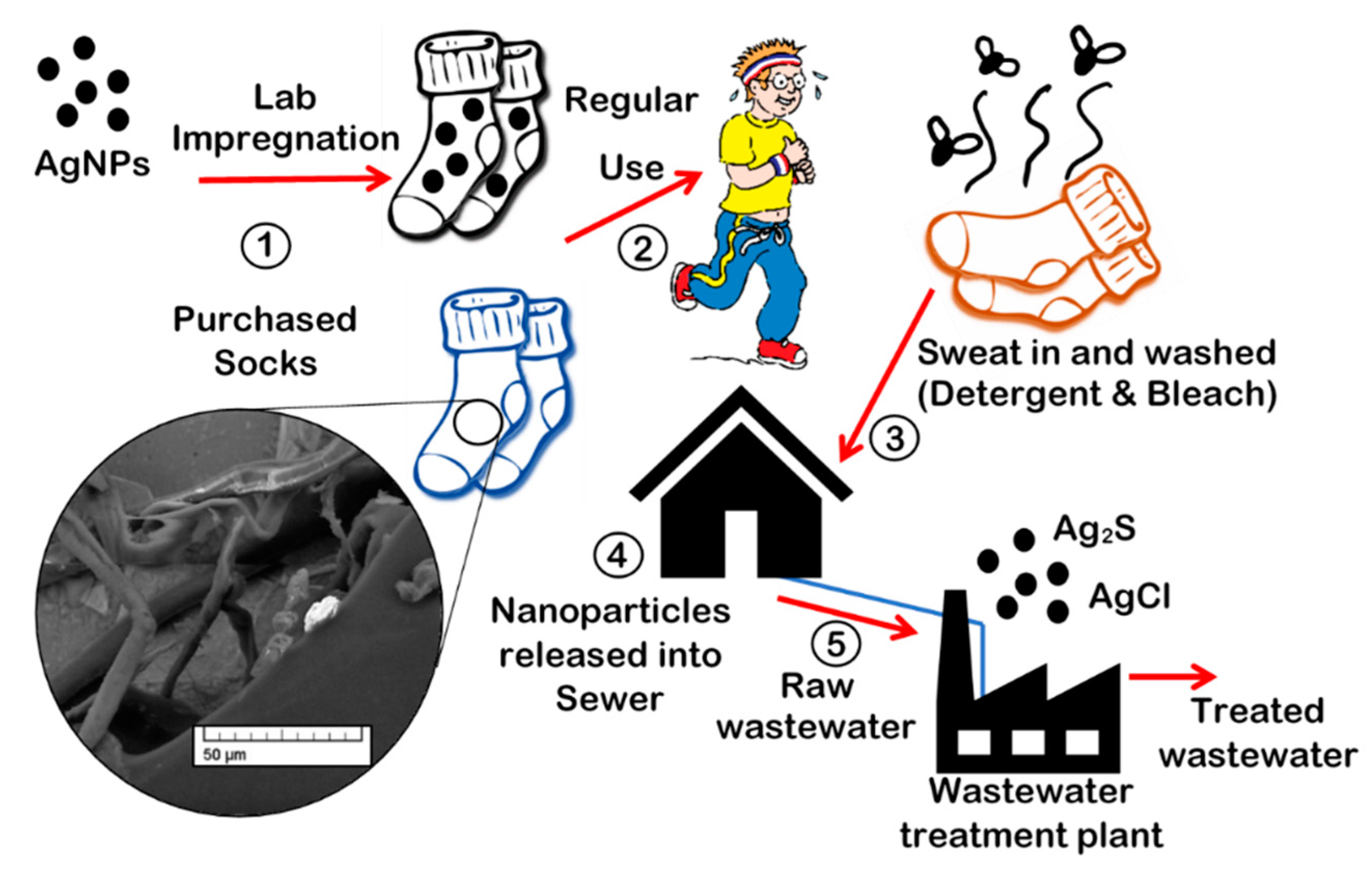 Nanomaterials 09 01258 g001