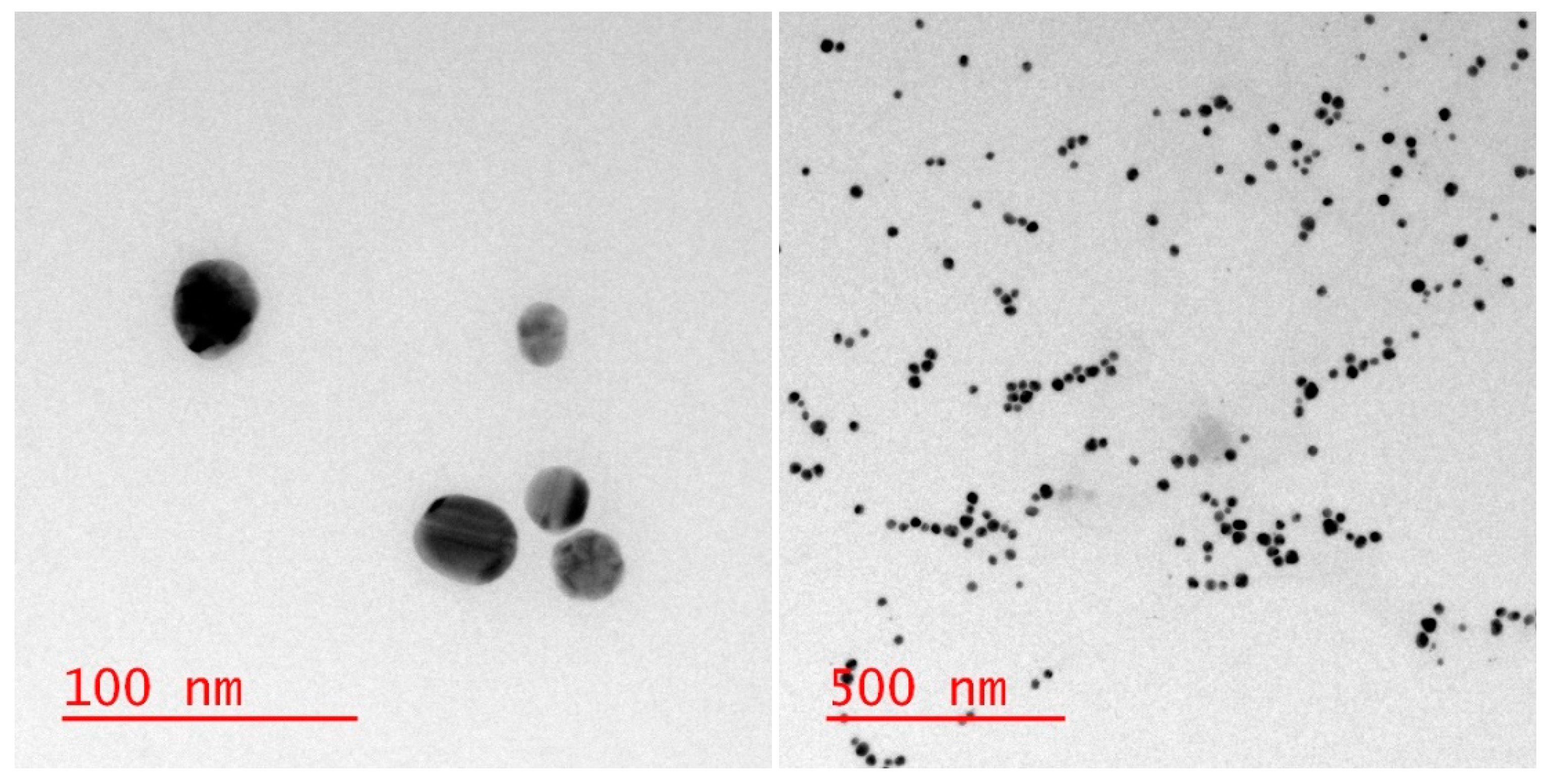 Nanomaterials 09 01258 g002