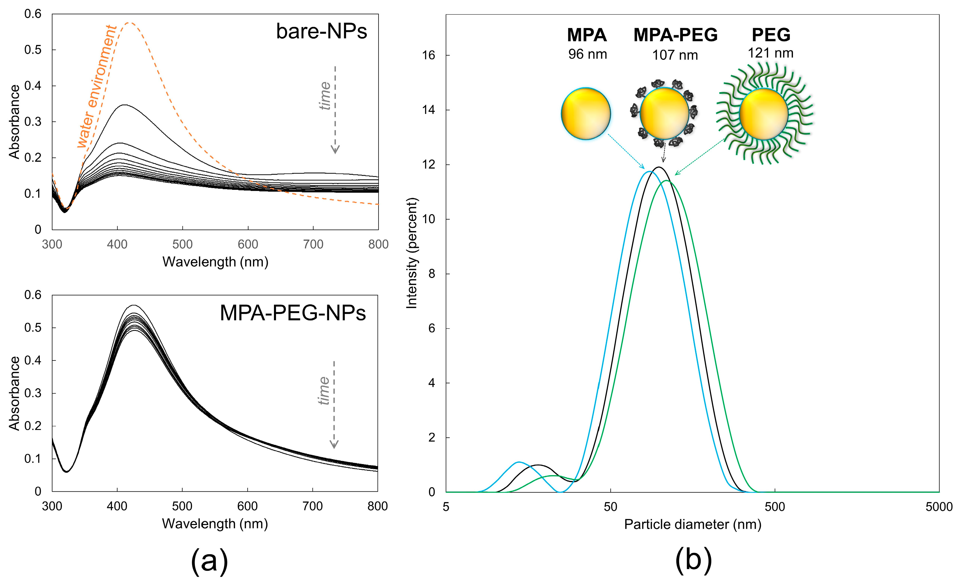 dynamic light scattering nanoparticles dynamic light scattering nanoparticles