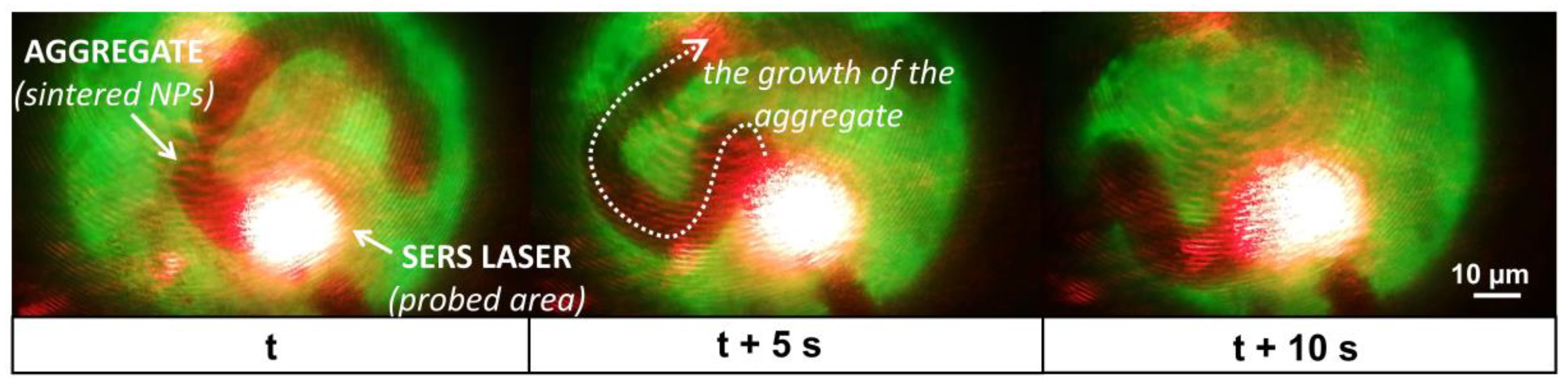 Nanomaterials 09 01259 g004 Nanomaterials 09 01259 g004