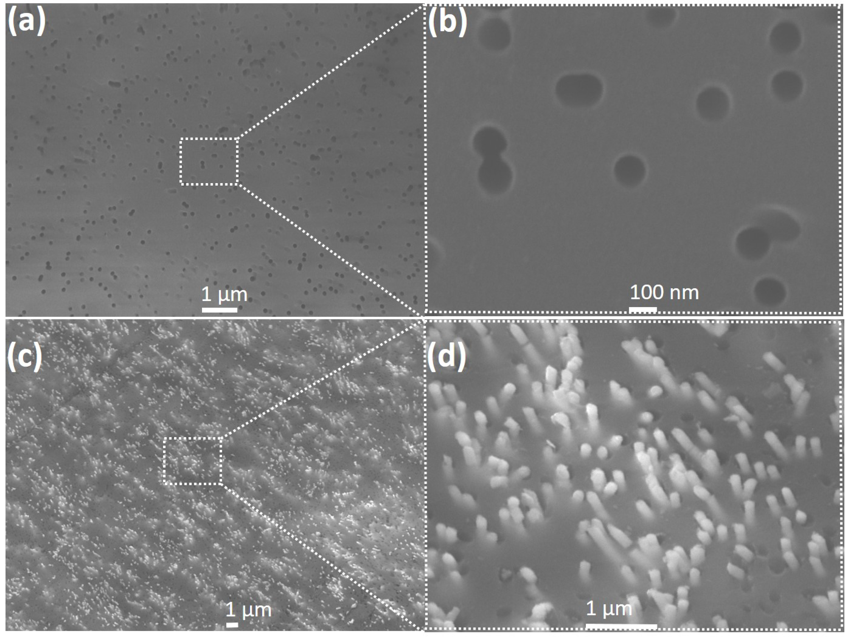Nanomaterials 09 01260 g003