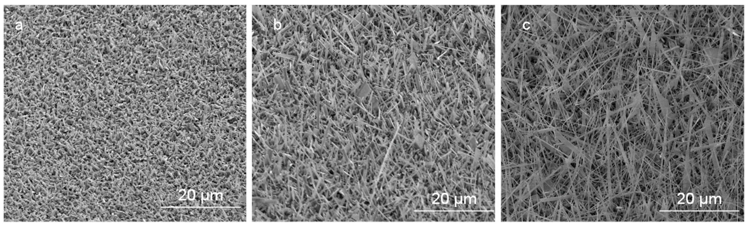 Nanomaterials 09 01272 g004 Nanomaterials 09 01272 g004