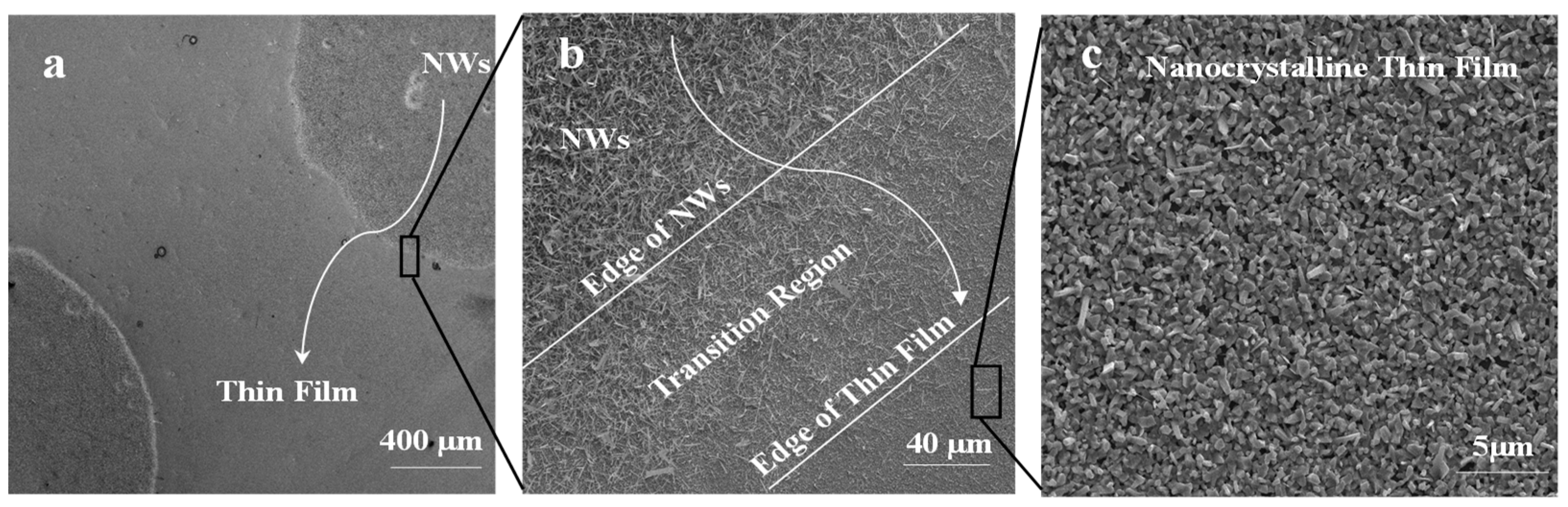 Nanomaterials 09 01272 g005 Nanomaterials 09 01272 g005