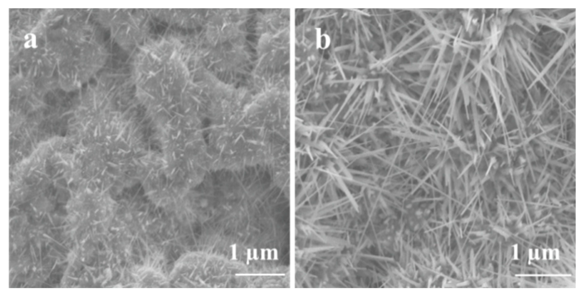 Nanomaterials 09 01272 g009 Nanomaterials 09 01272 g009