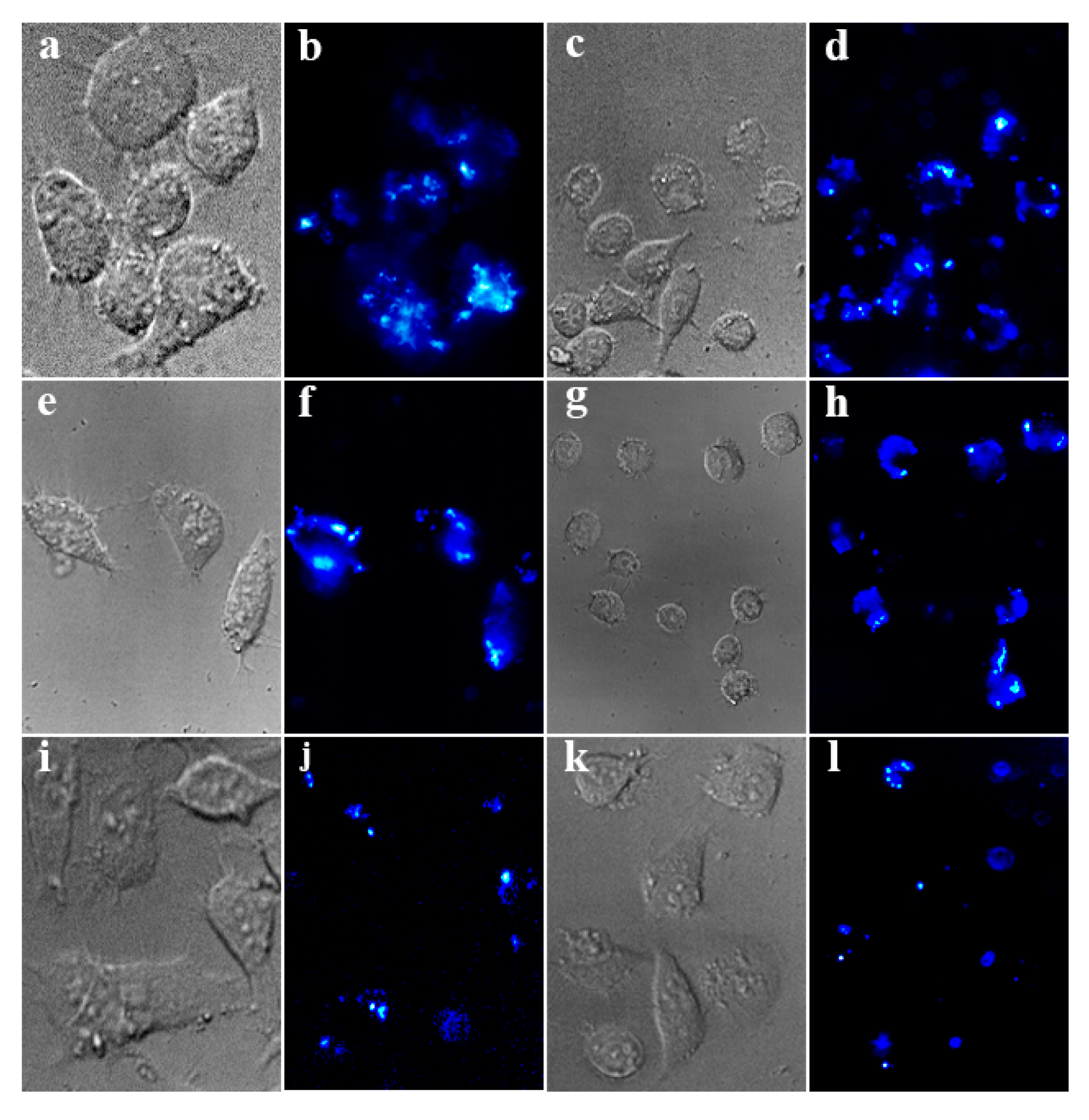 Nanomaterials 09 01274 g008