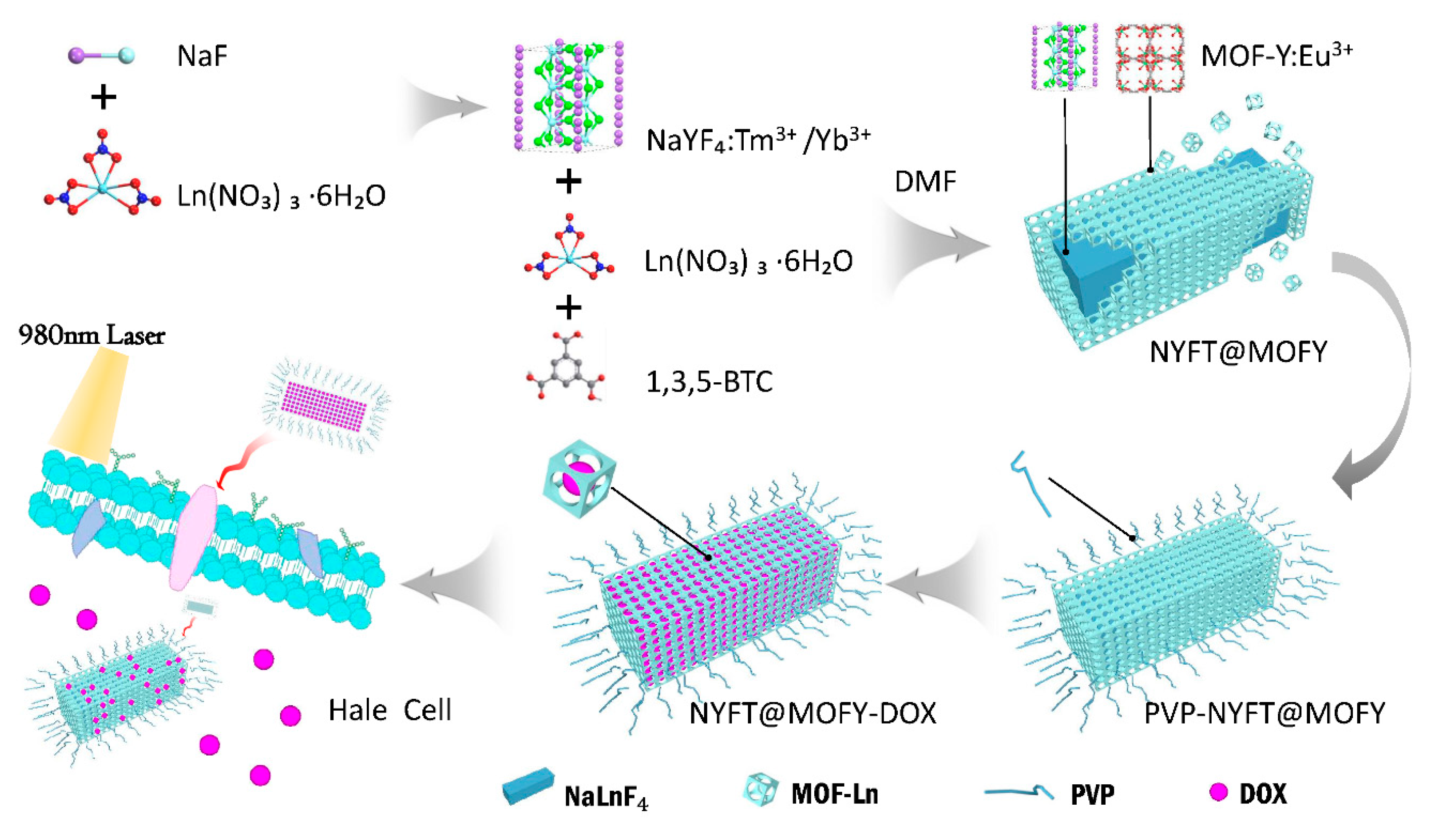Nanomaterials 09 01274 sch001