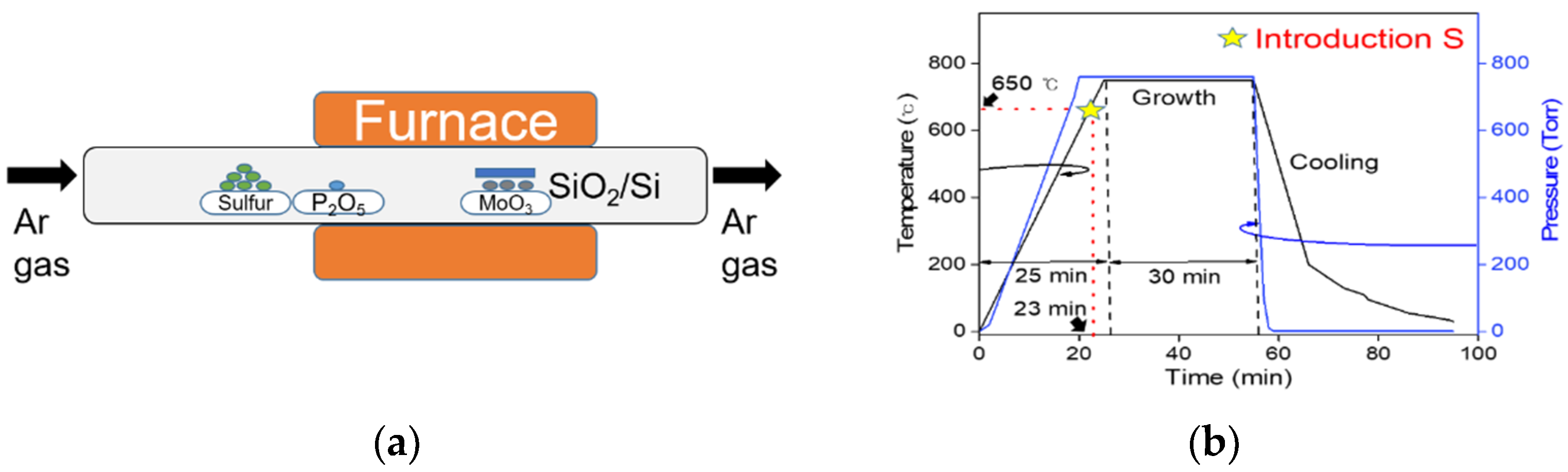 Nanomaterials 09 01278 g001 Nanomaterials 09 01278 g001