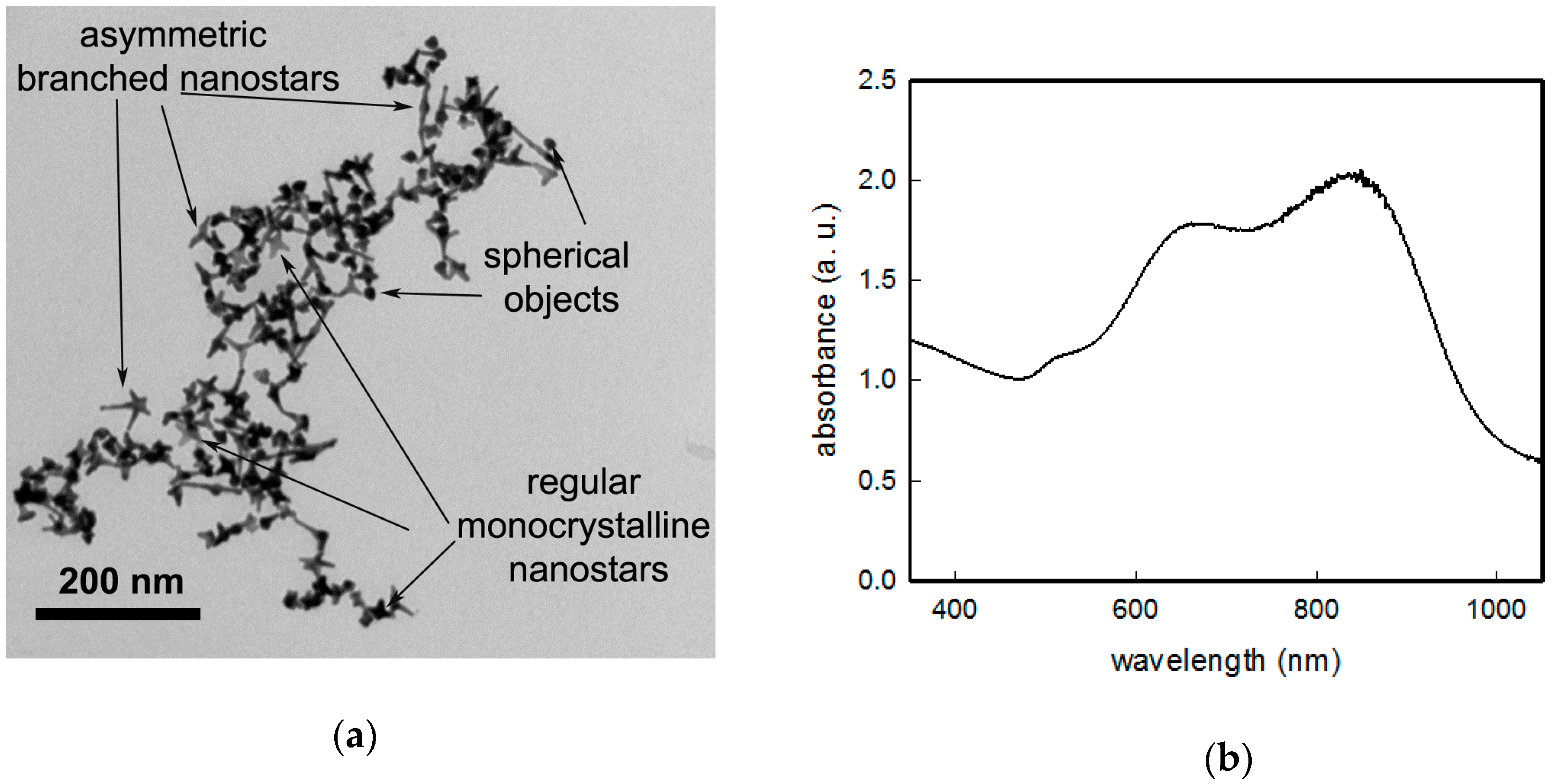 Nanomaterials 09 01288 g001