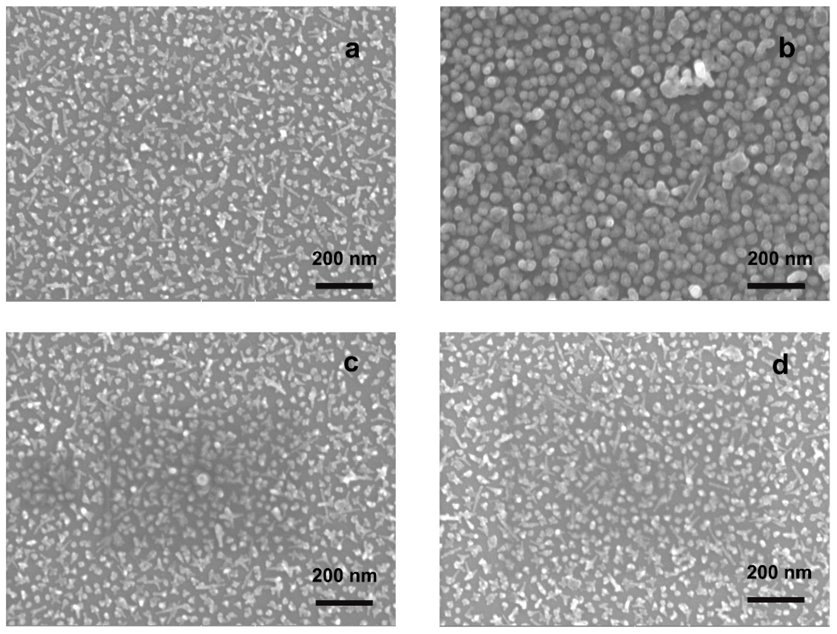 Nanomaterials 09 01288 g003