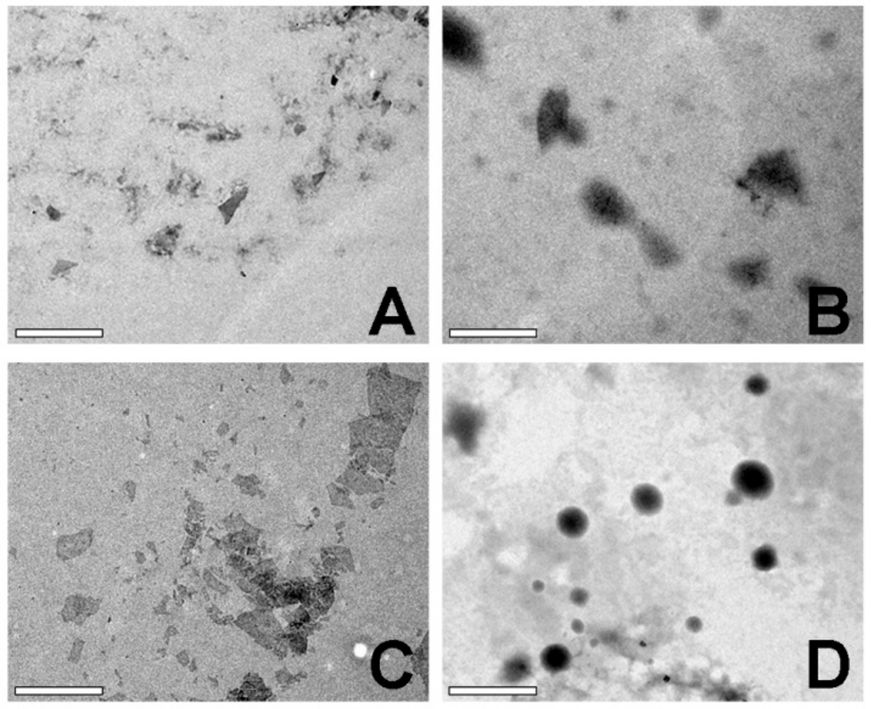 Nanomaterials 09 01289 g005