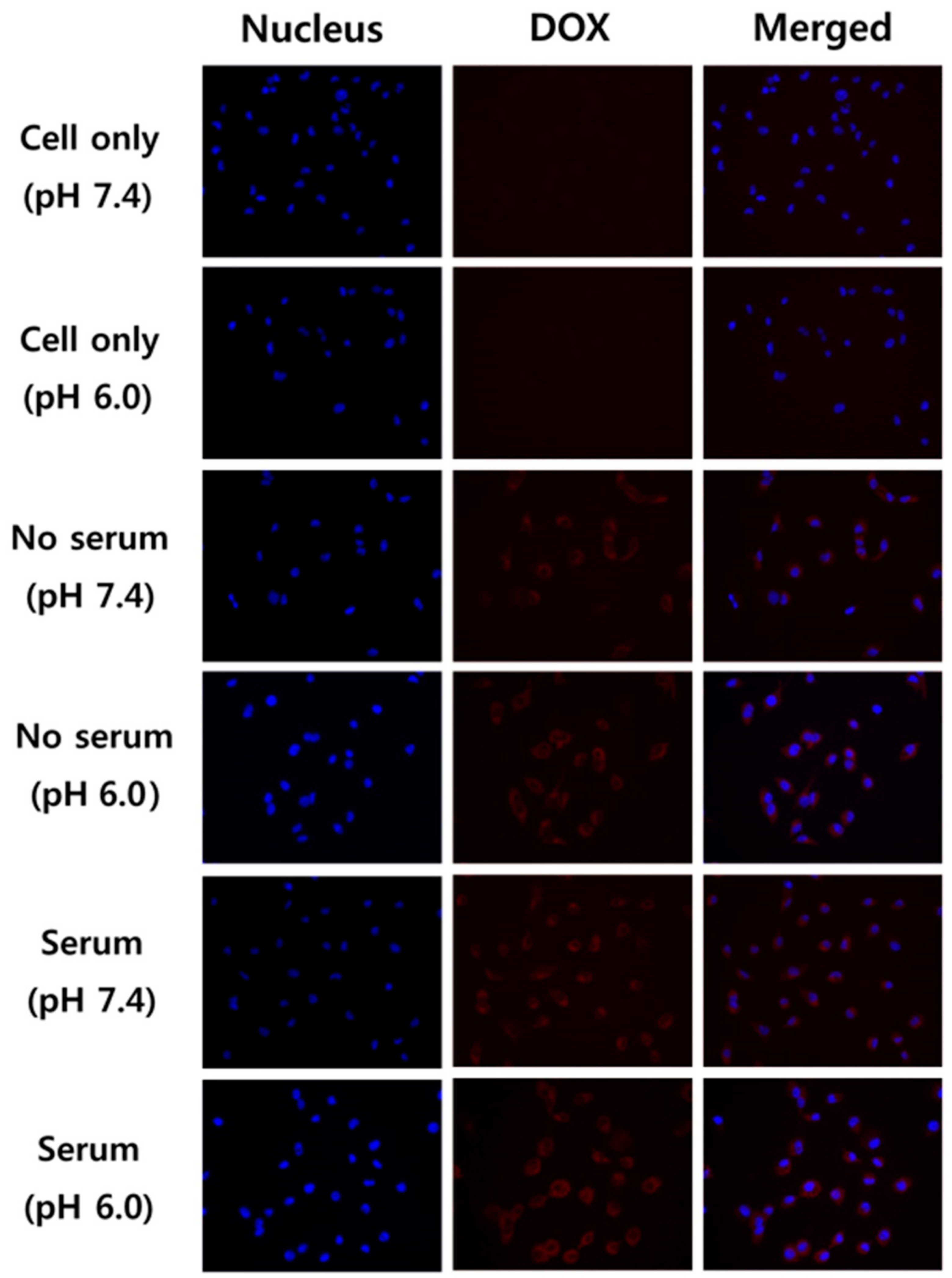 Nanomaterials 09 01289 g009