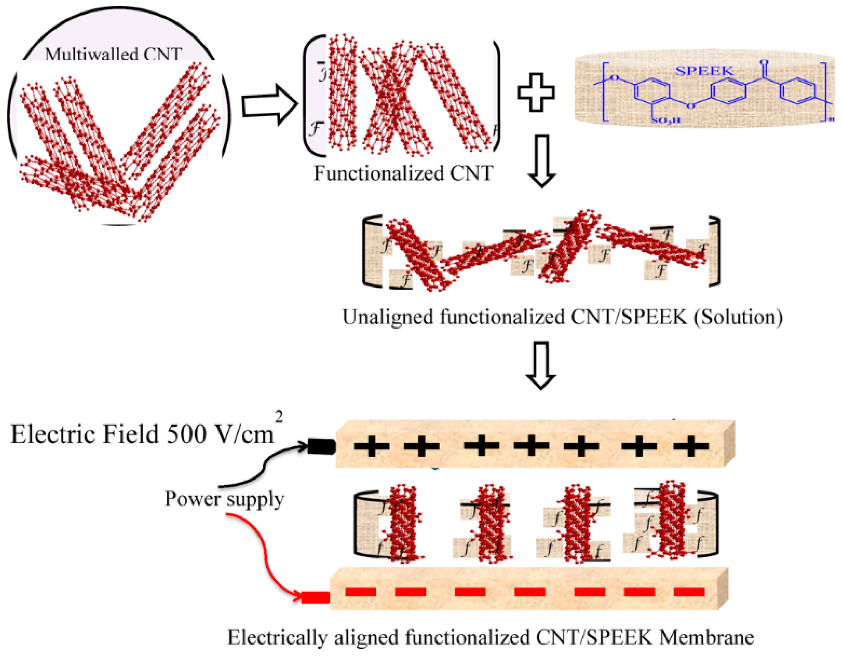 Nanomaterials 09 01292 g008