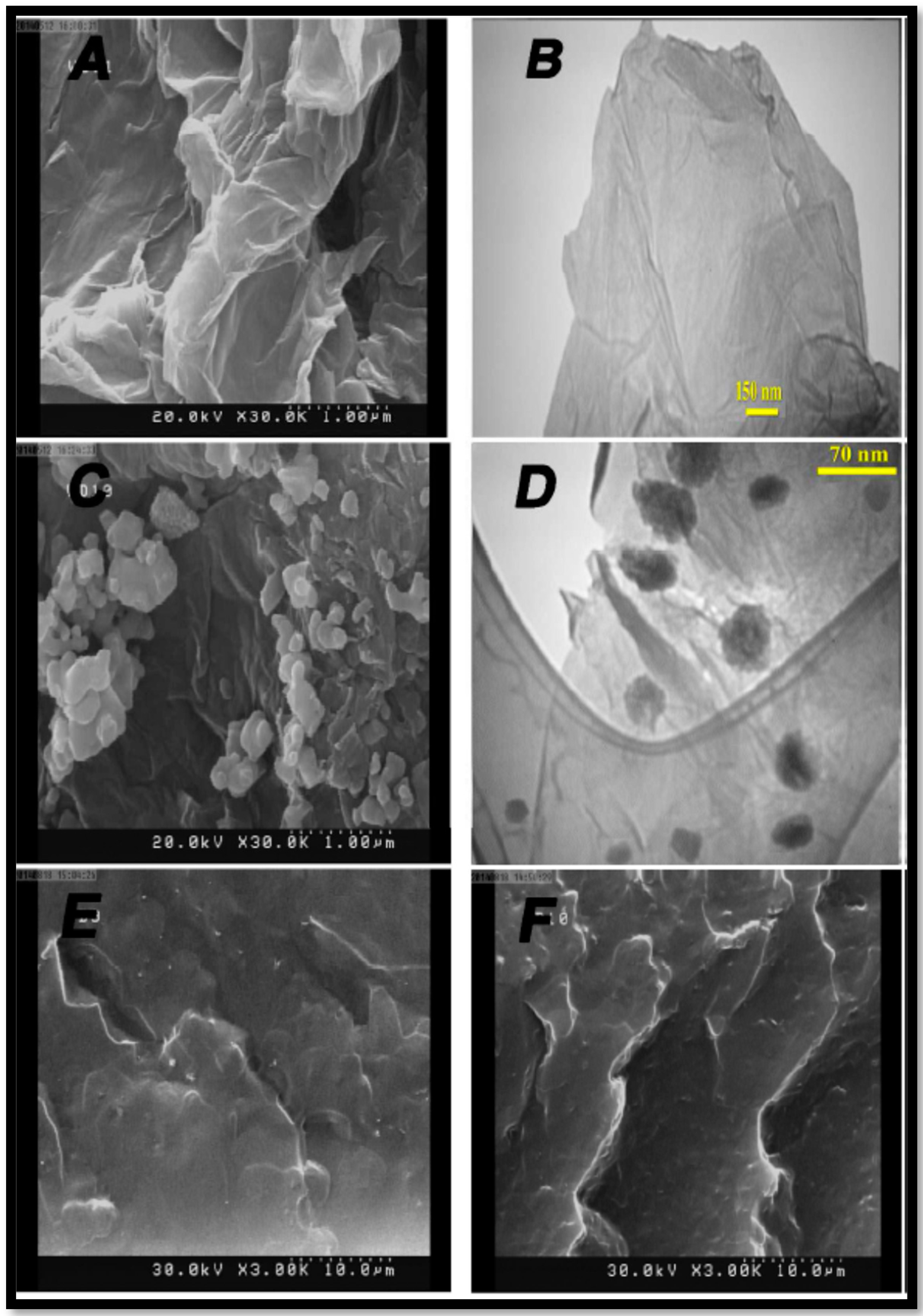 Nanomaterials 09 01292 g014
