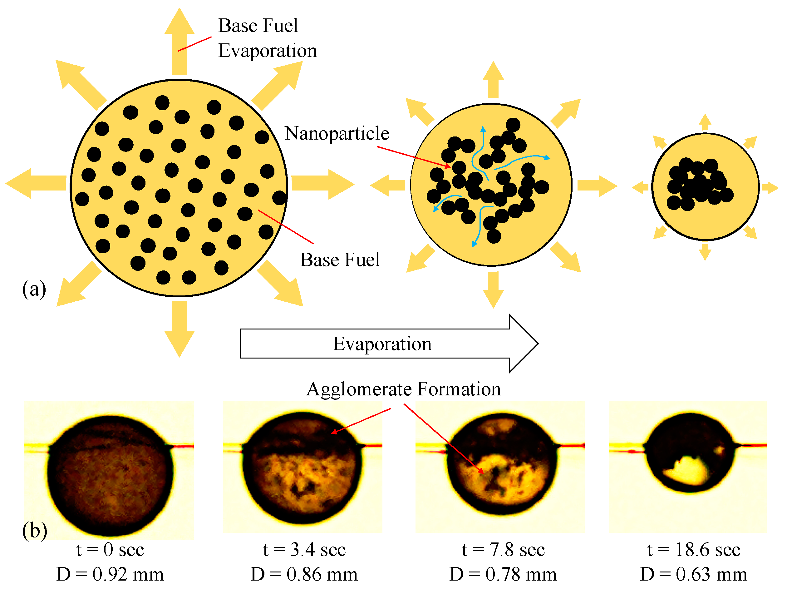 Nanomaterials 09 01297 g005