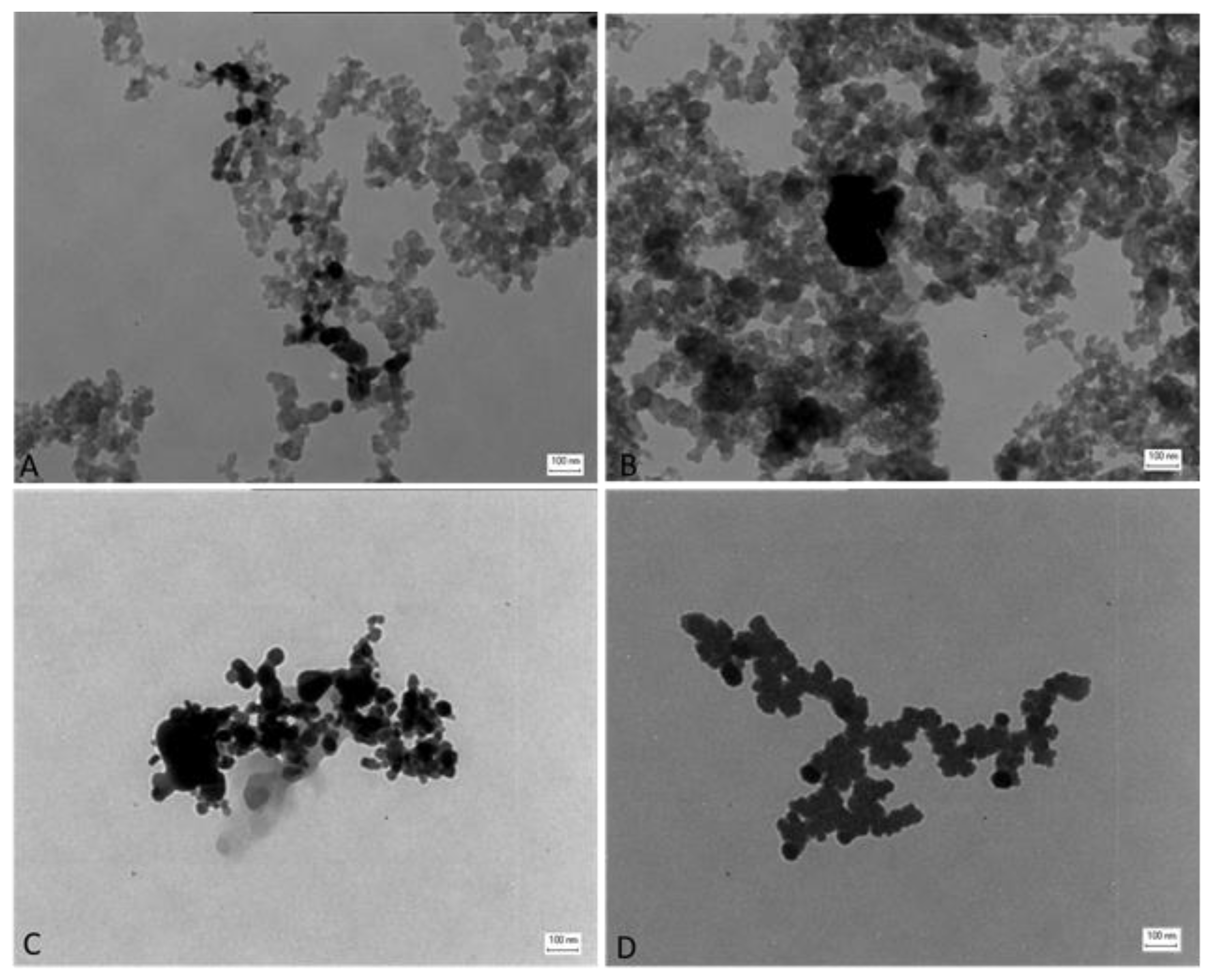 Nanomaterials 09 01302 g001