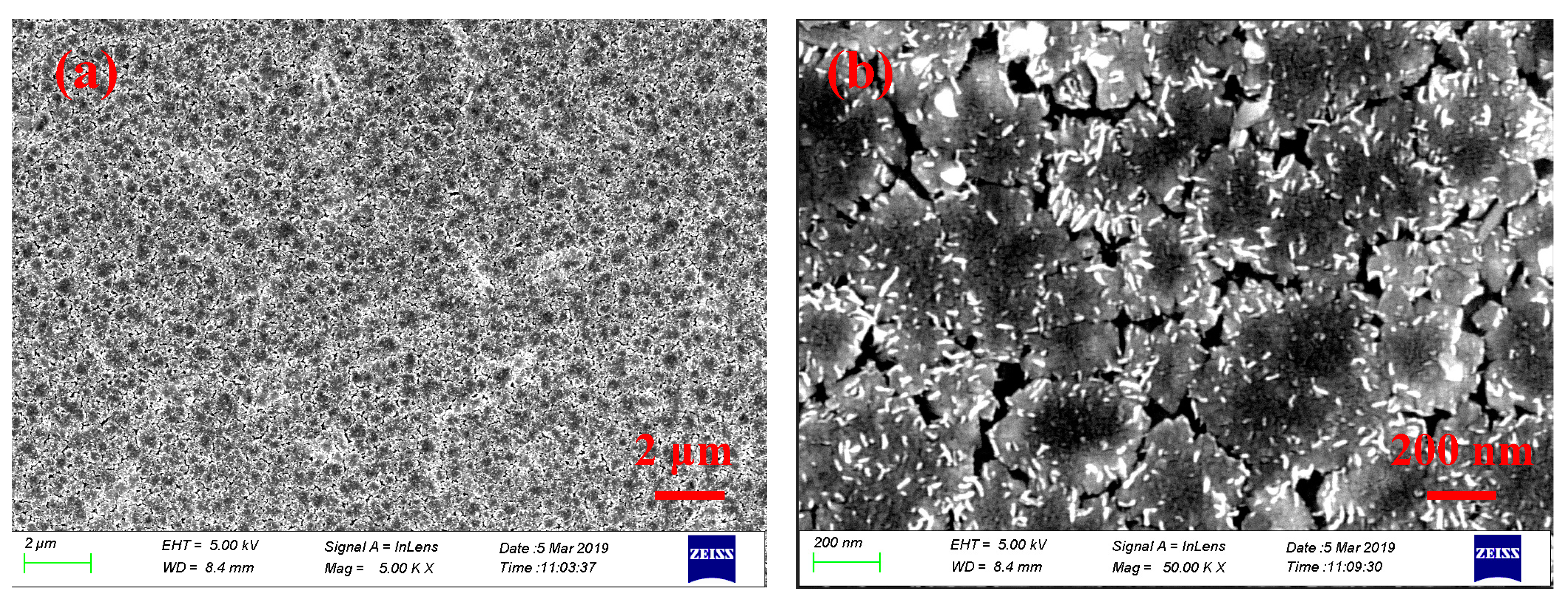 Nanomaterials 09 01305 g001