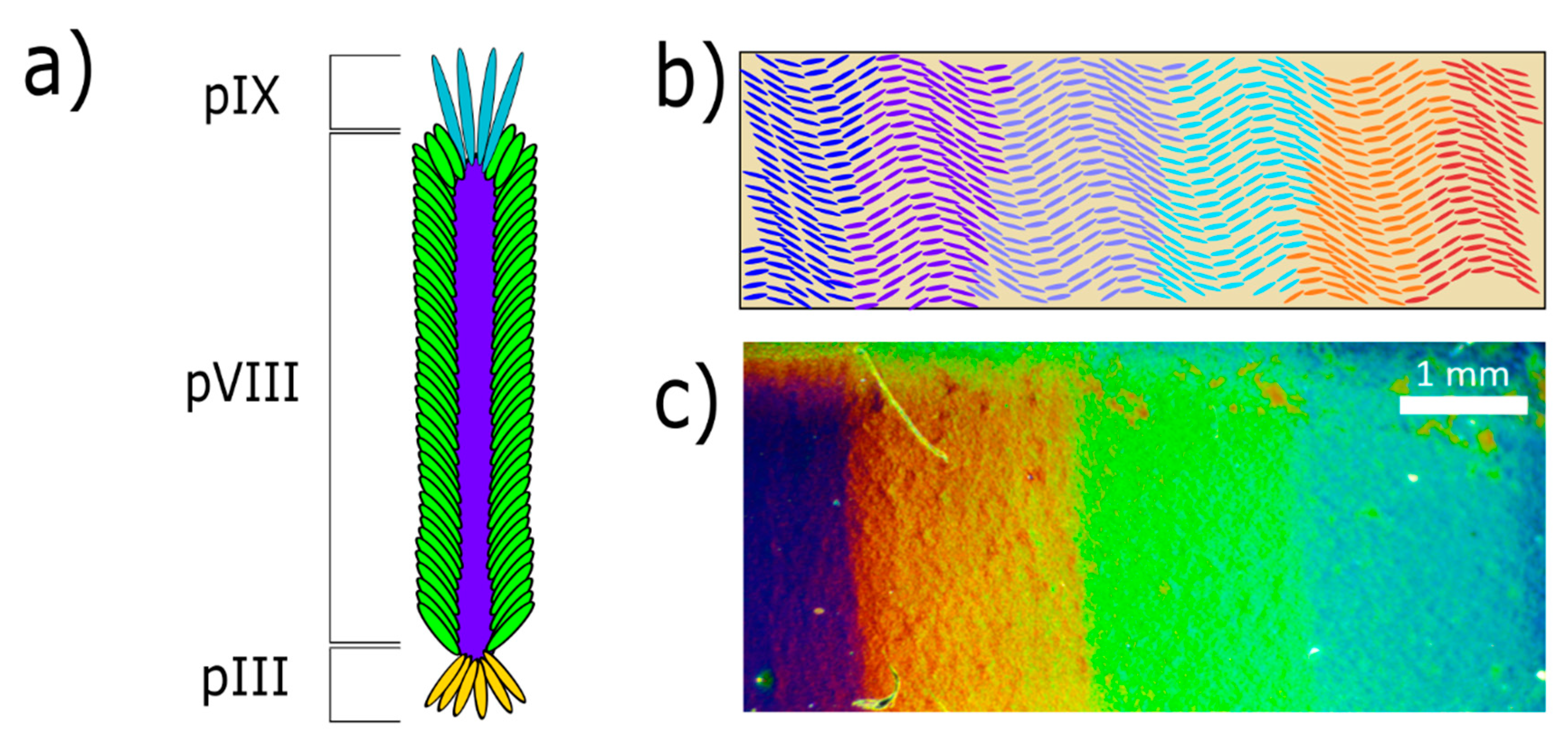 Nanomaterials 09 01310 g001
