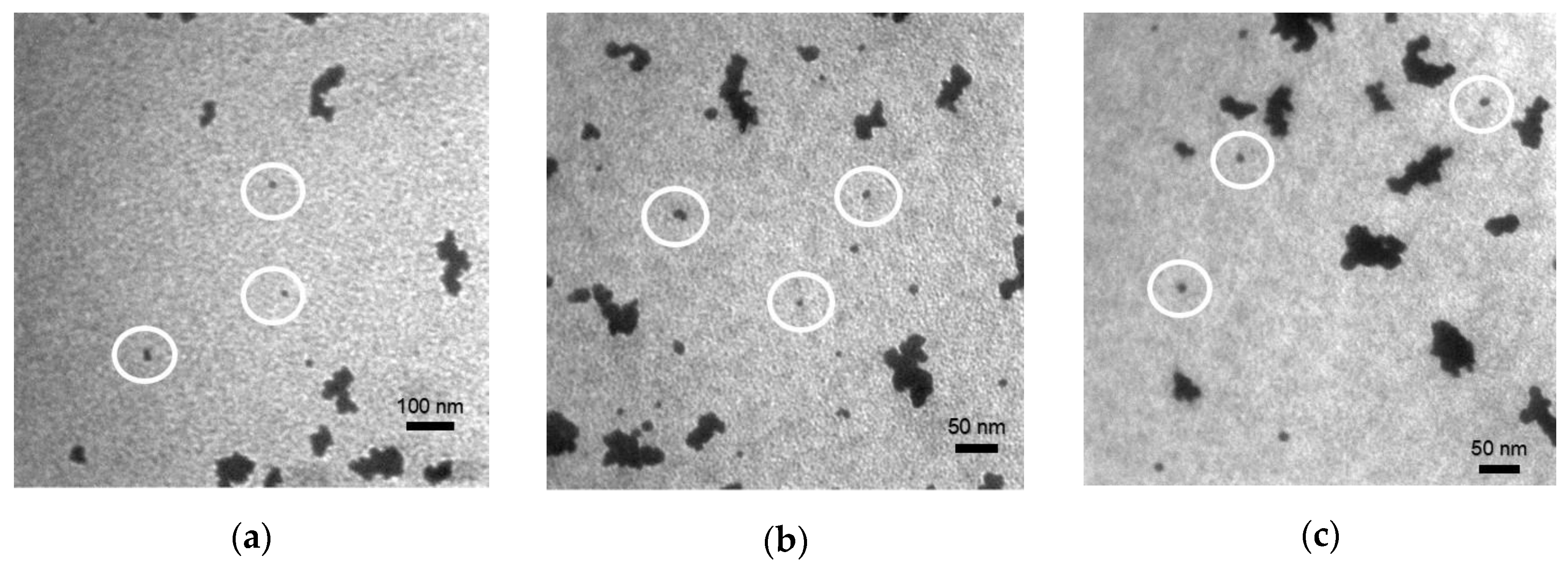 Nanomaterials 09 01311 g003