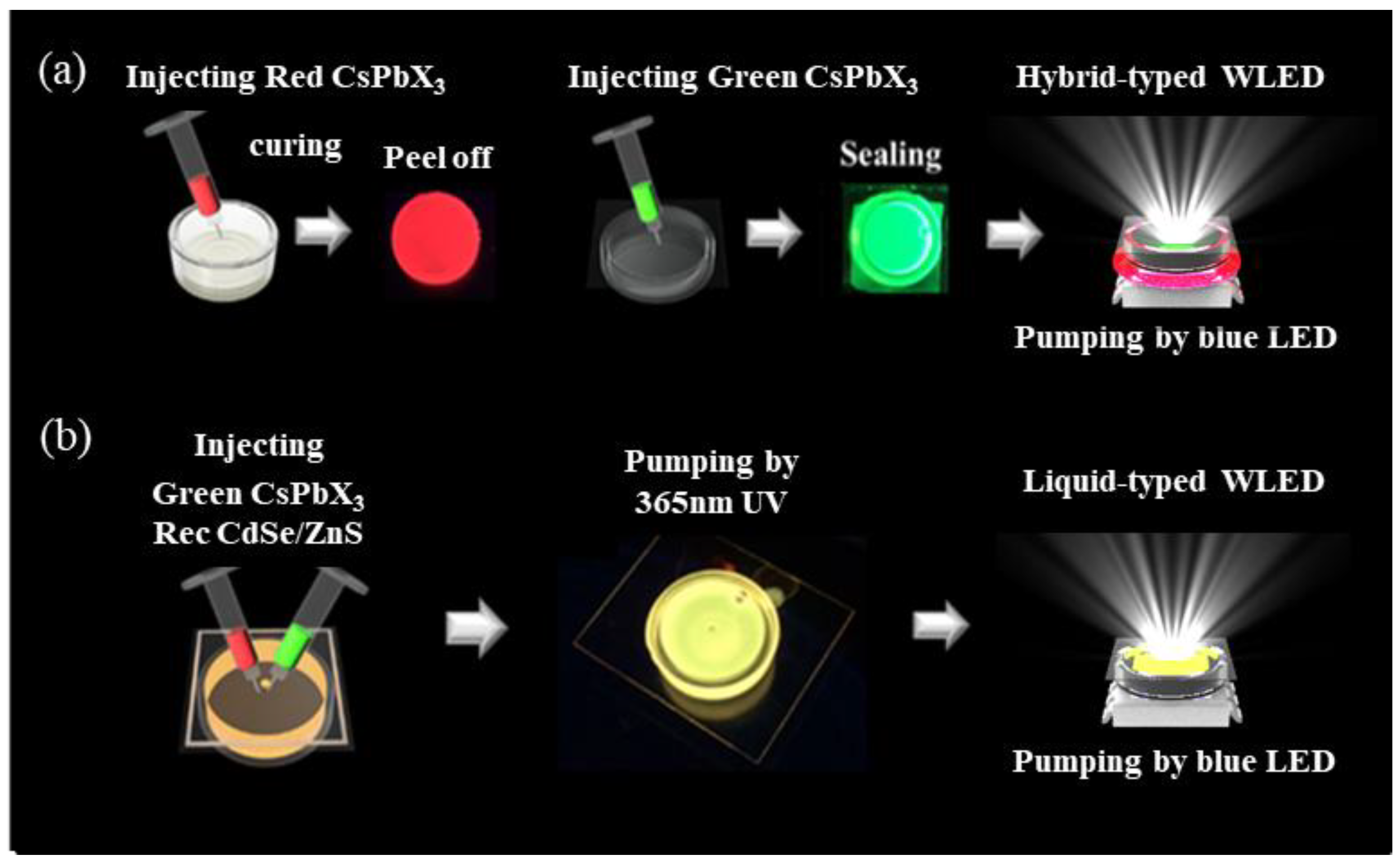 Nanomaterials 09 01314 g001