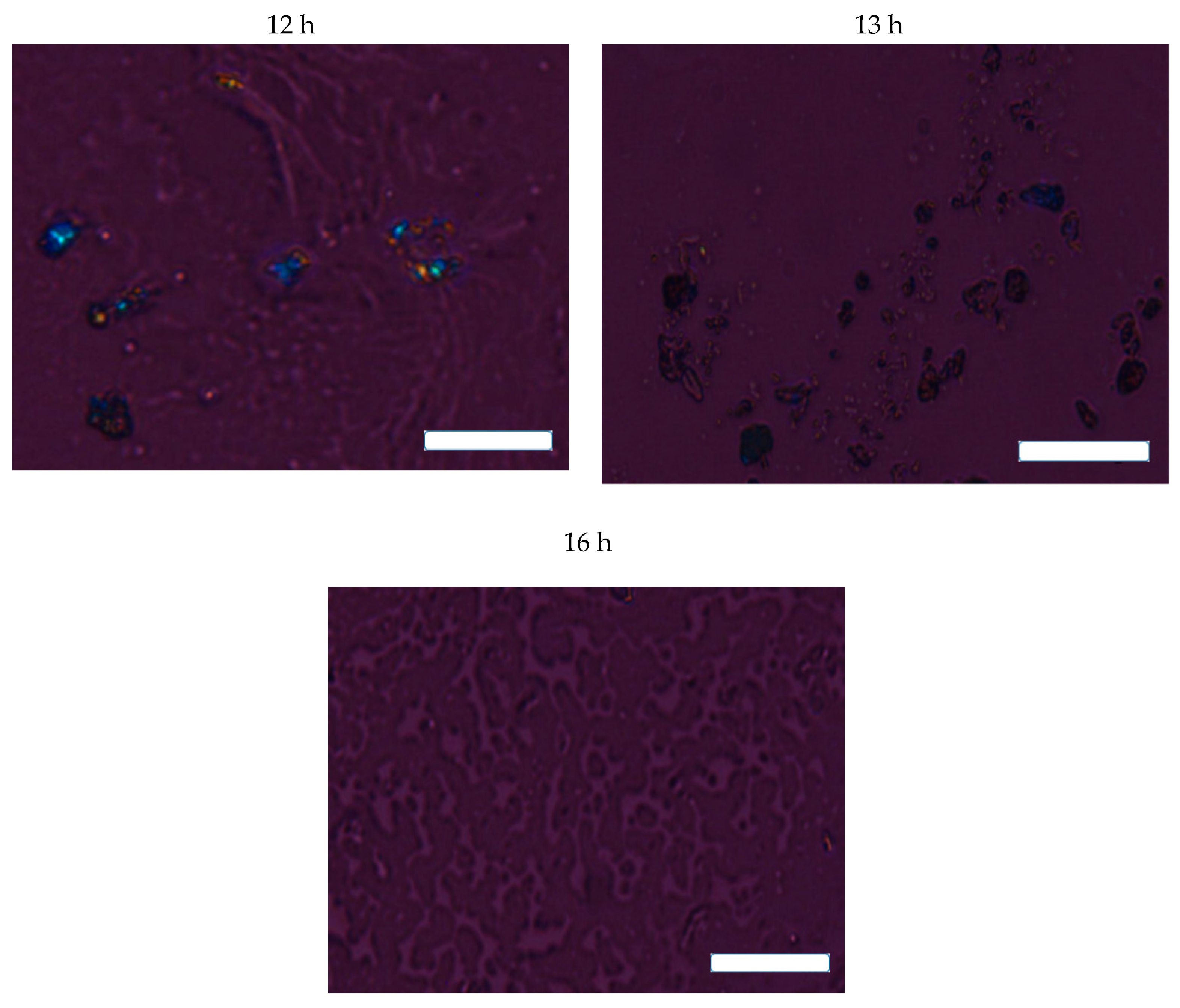 Nanomaterials 09 01316 g006