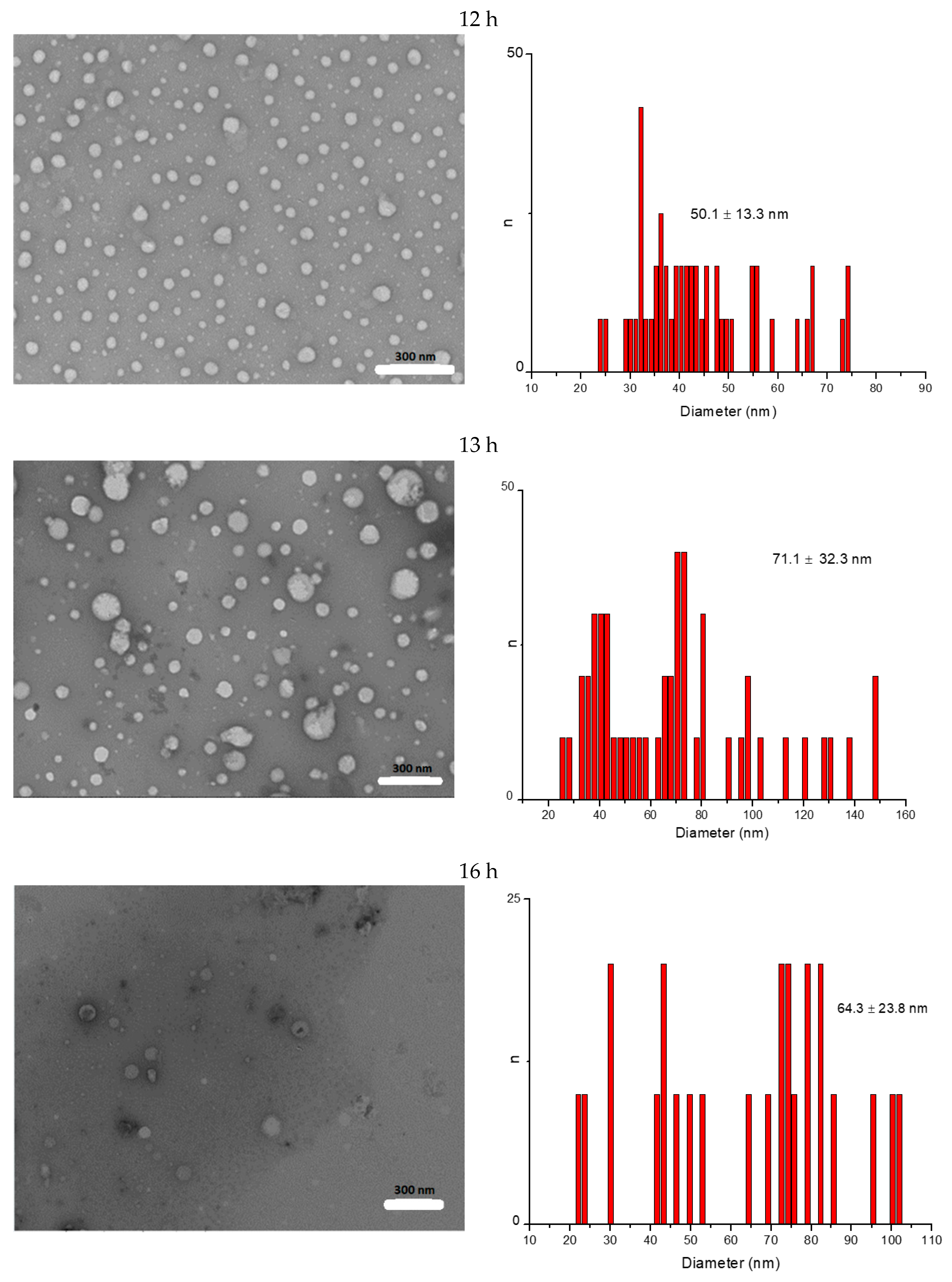 Nanomaterials 09 01316 g007
