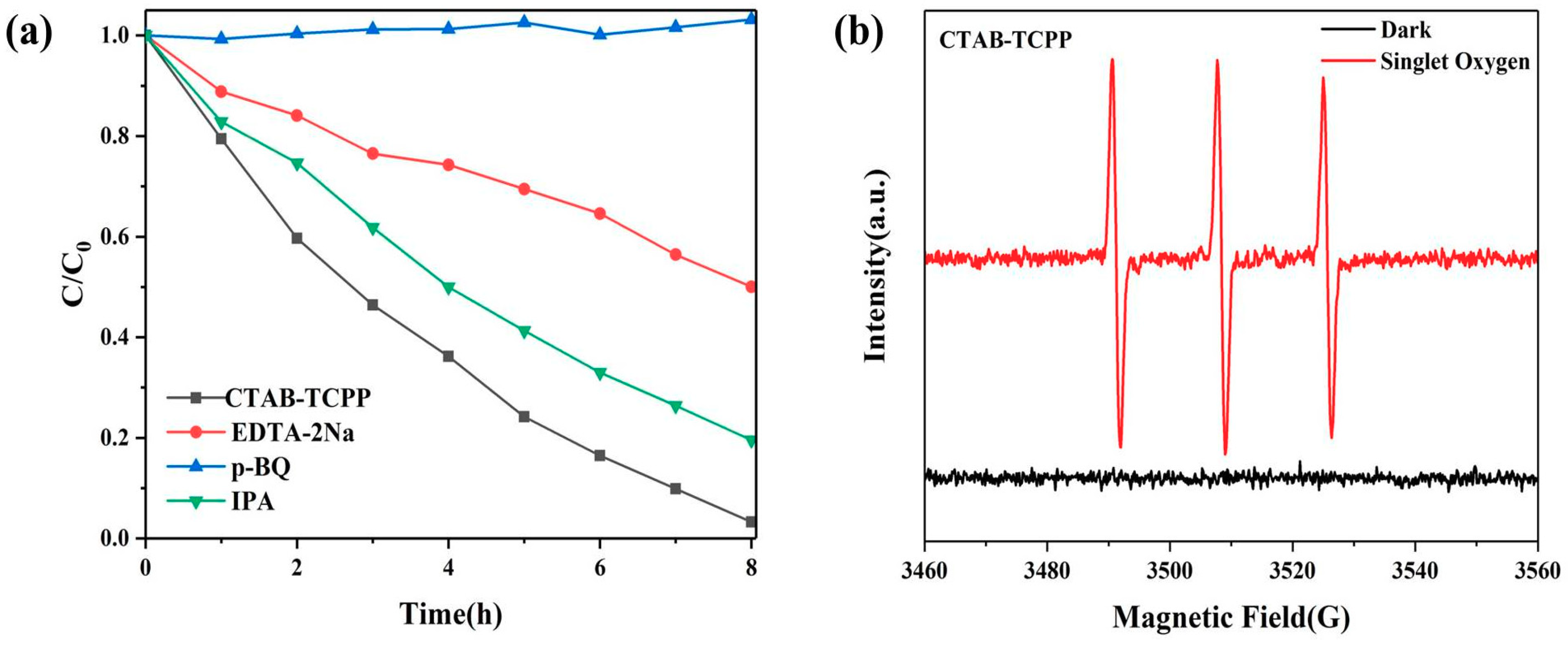 Nanomaterials 09 01321 g013