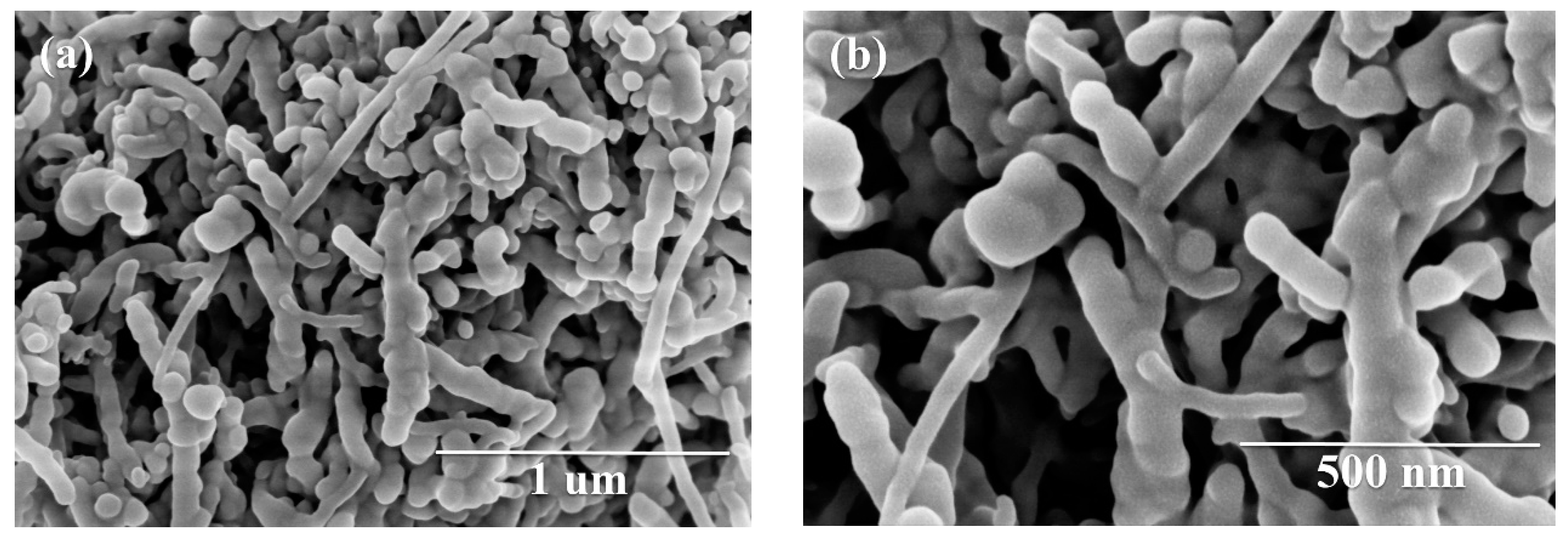 Nanomaterials 09 01323 g002a