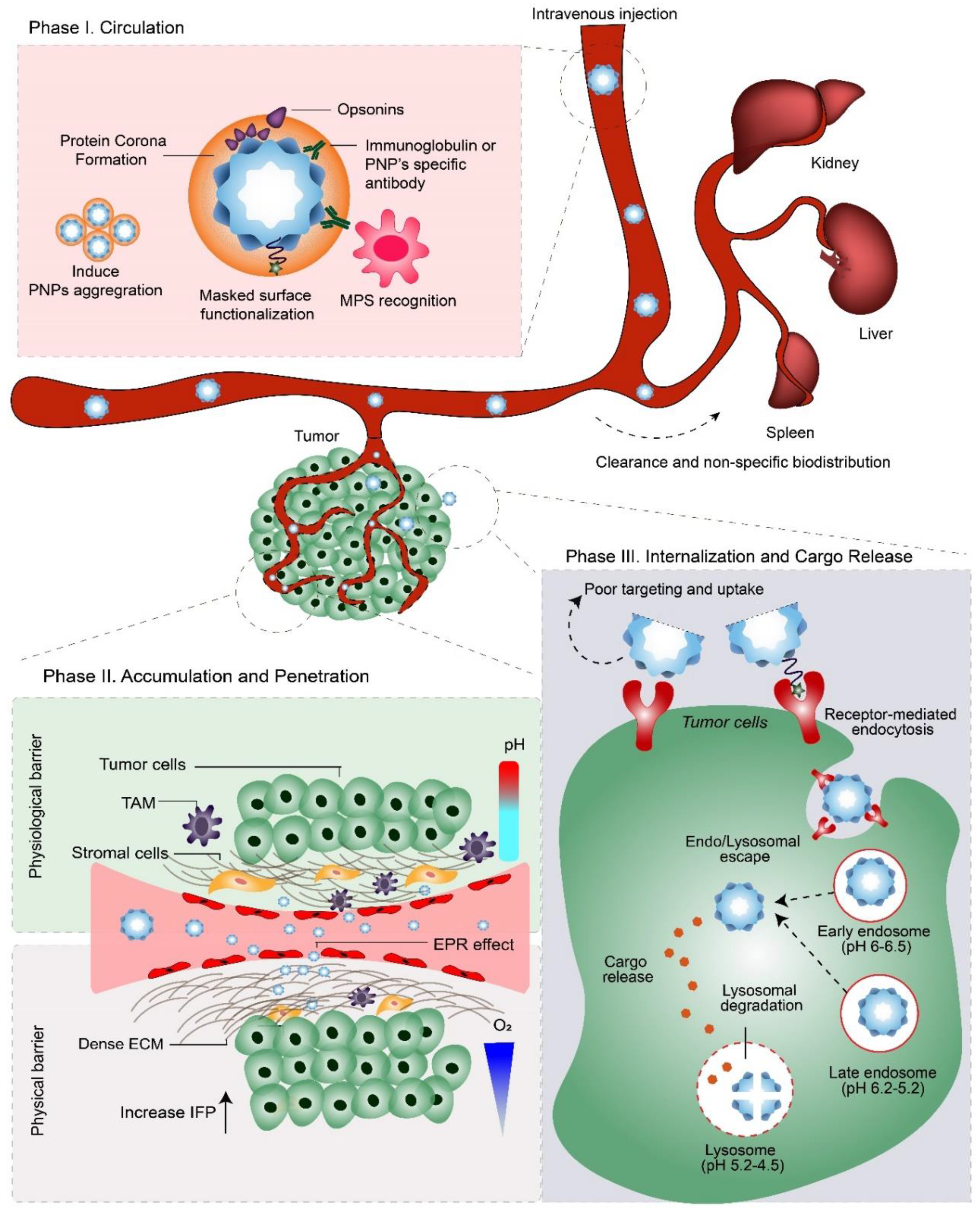 Nanomaterials 09 01329 g001