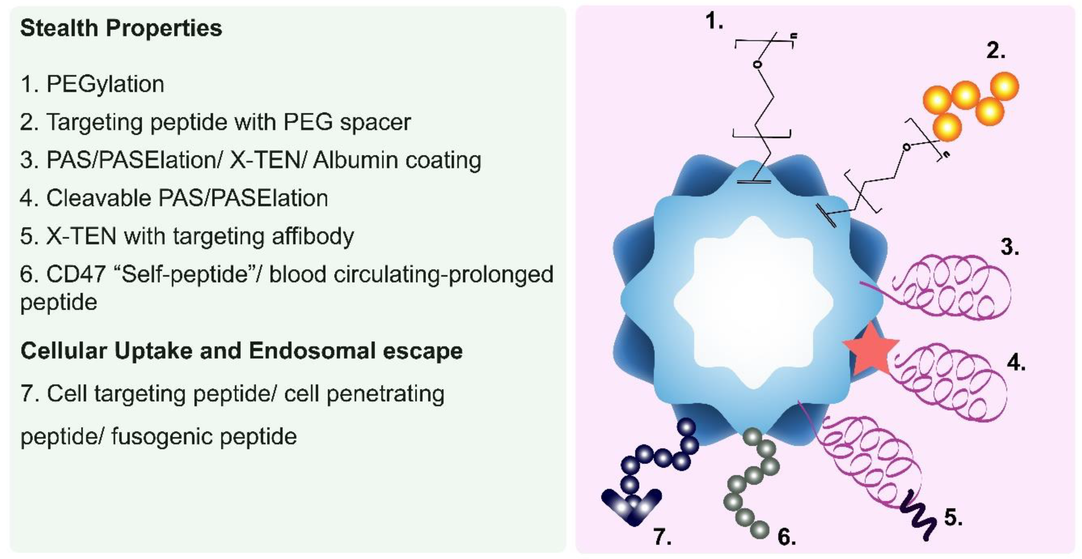 Nanomaterials 09 01329 g002