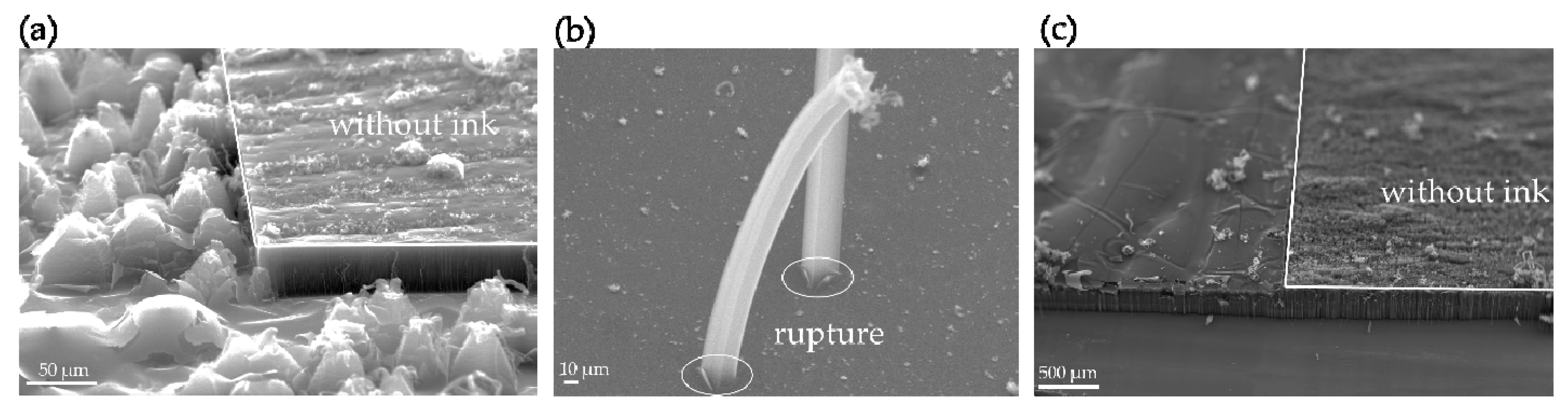 Nanomaterials 09 01332 g003