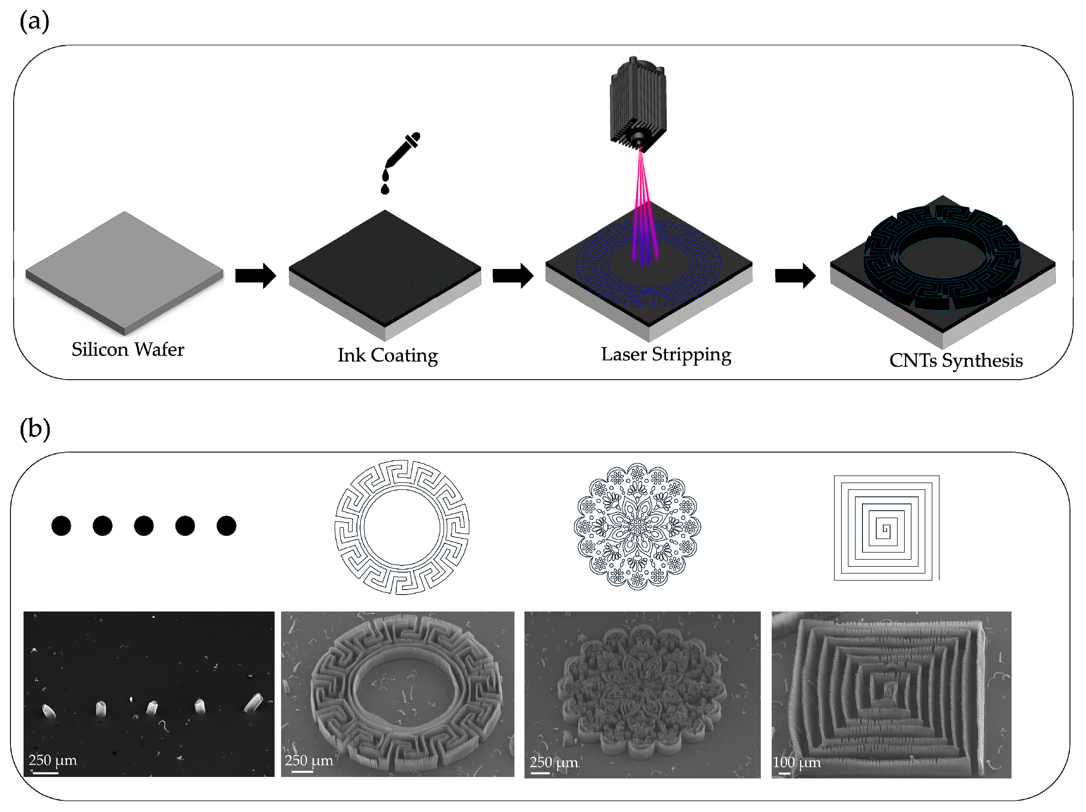 Nanomaterials 09 01332 g006