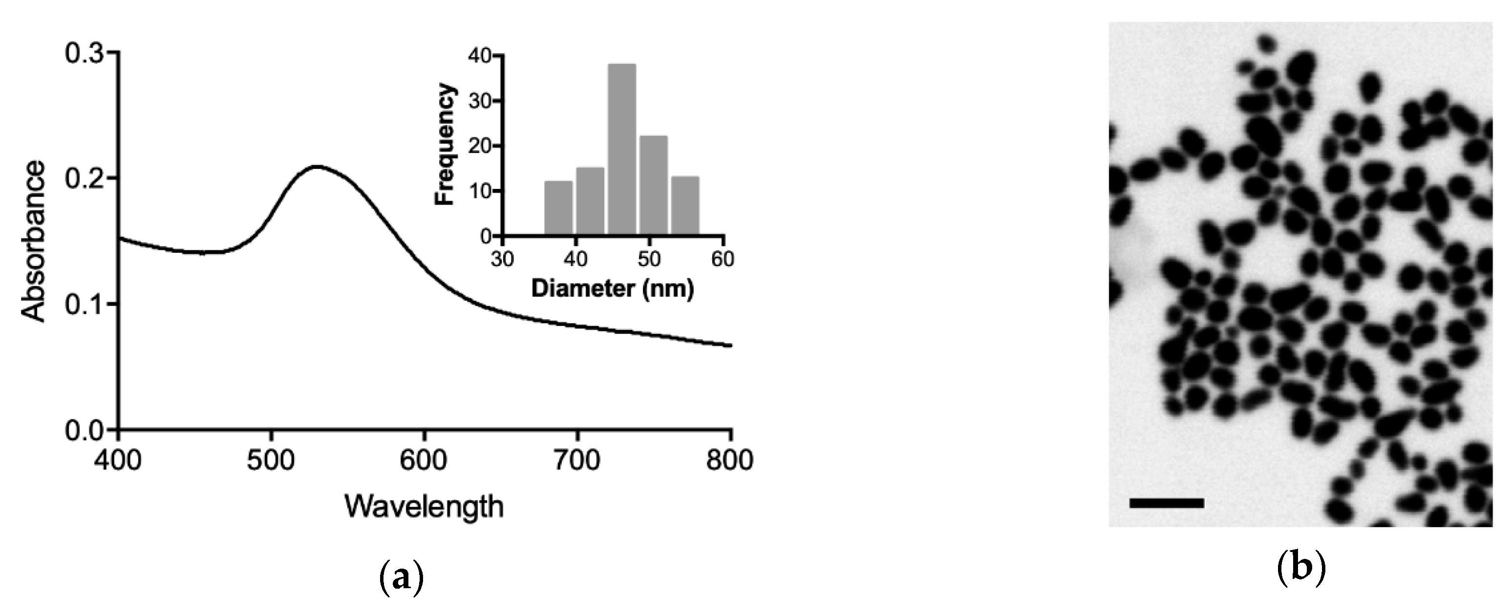Nanomaterials 09 01333 g001
