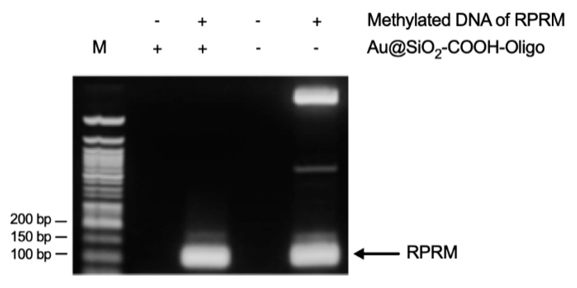 Nanomaterials 09 01333 g003