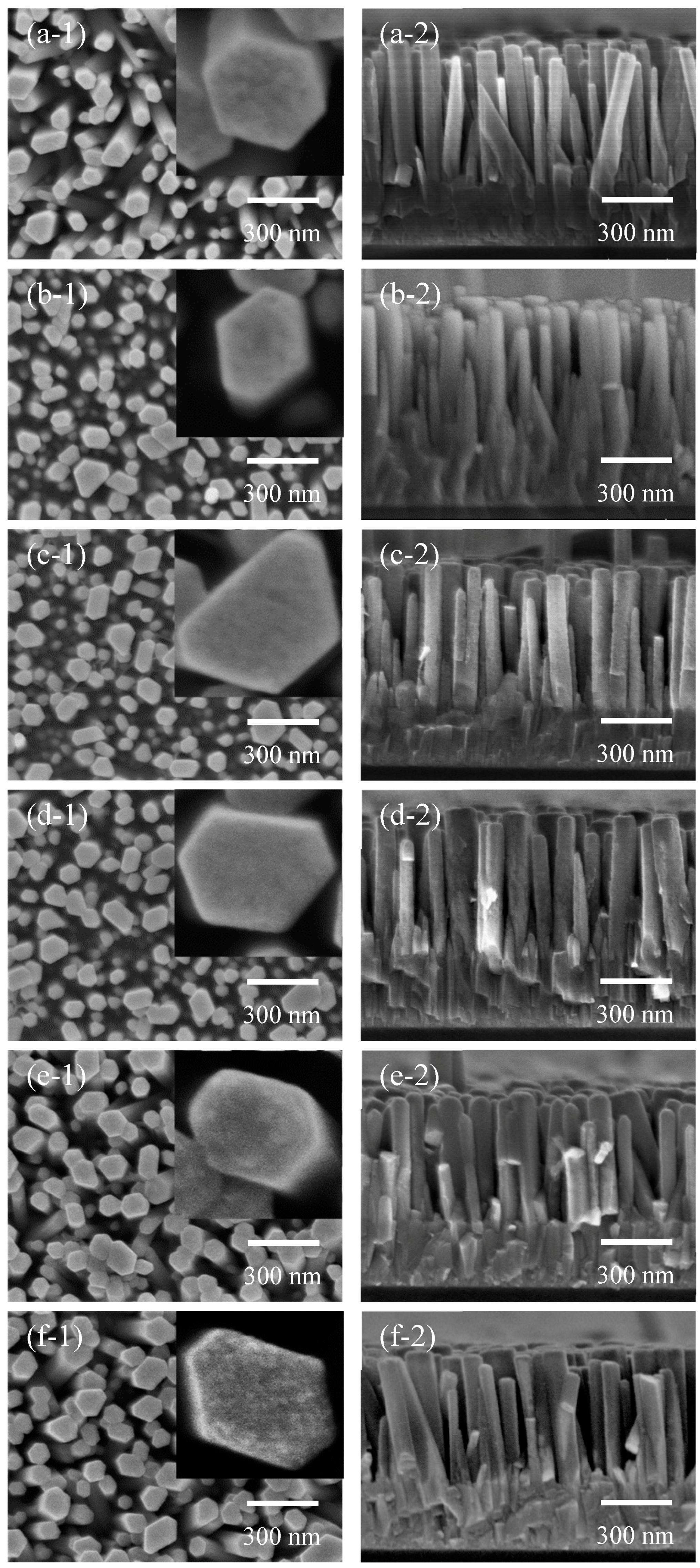 Nanomaterials 09 01339 g002 550